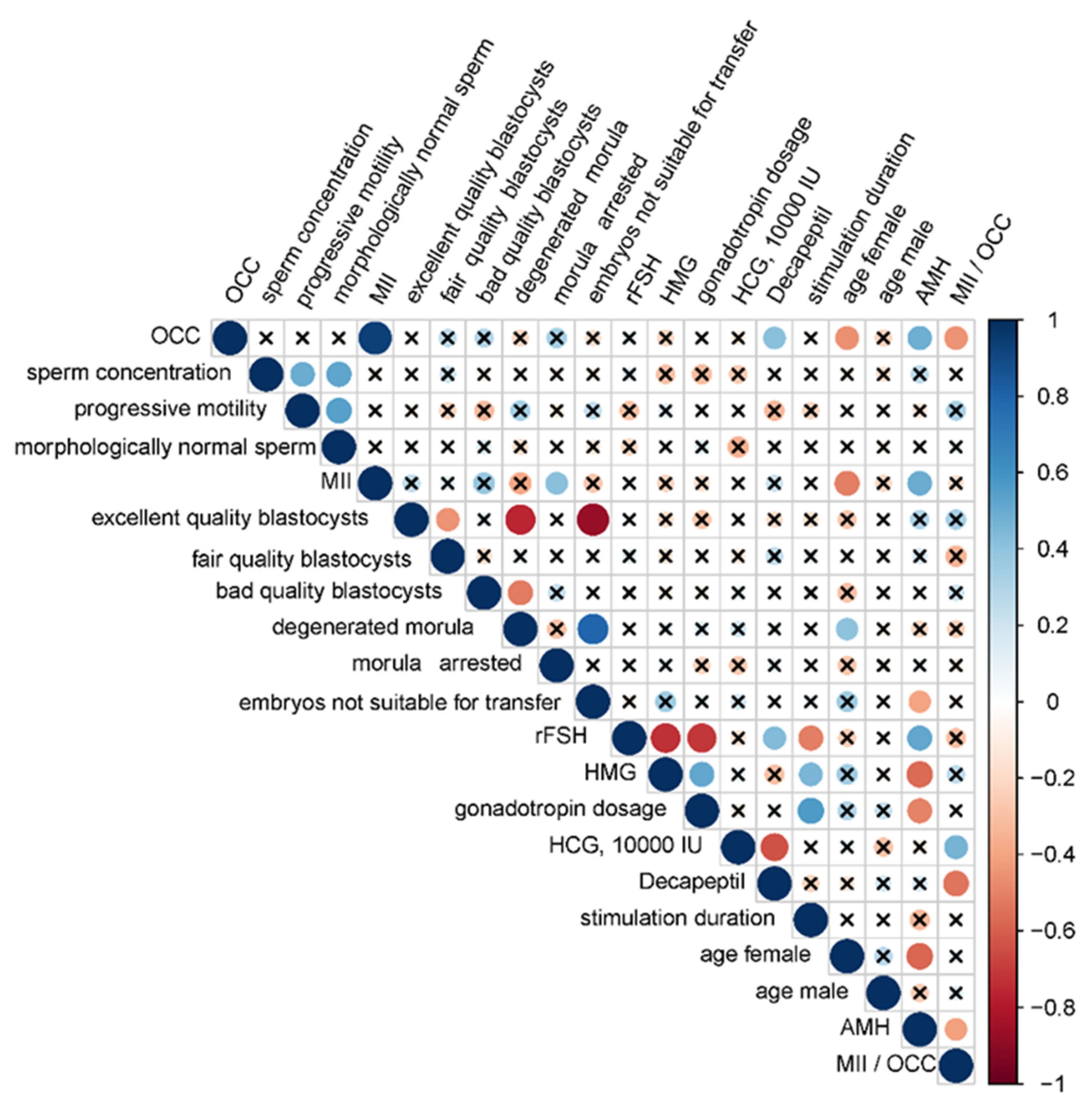 Ijms 21 09399 g001 Ijms 21 09399 g001