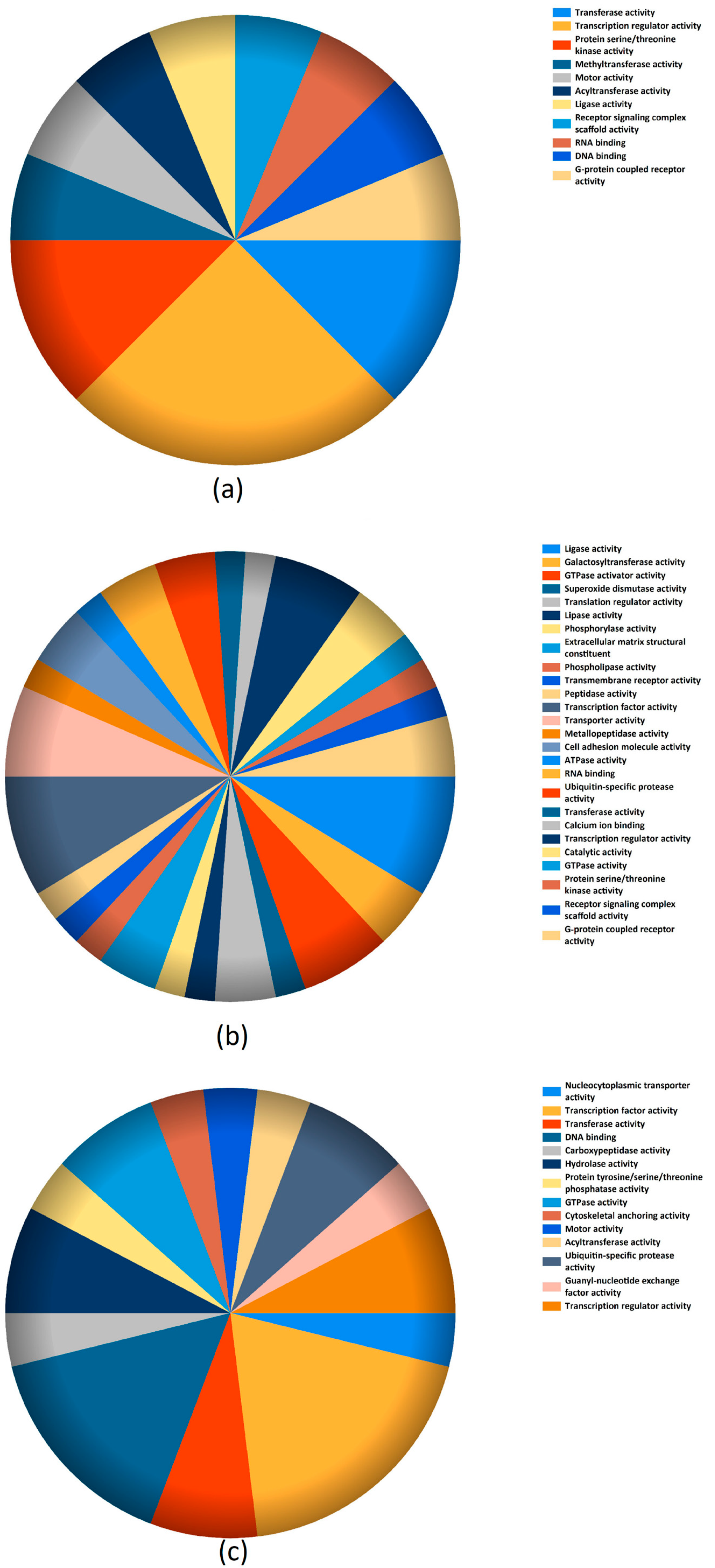 Ijms 21 09399 g003 Ijms 21 09399 g003