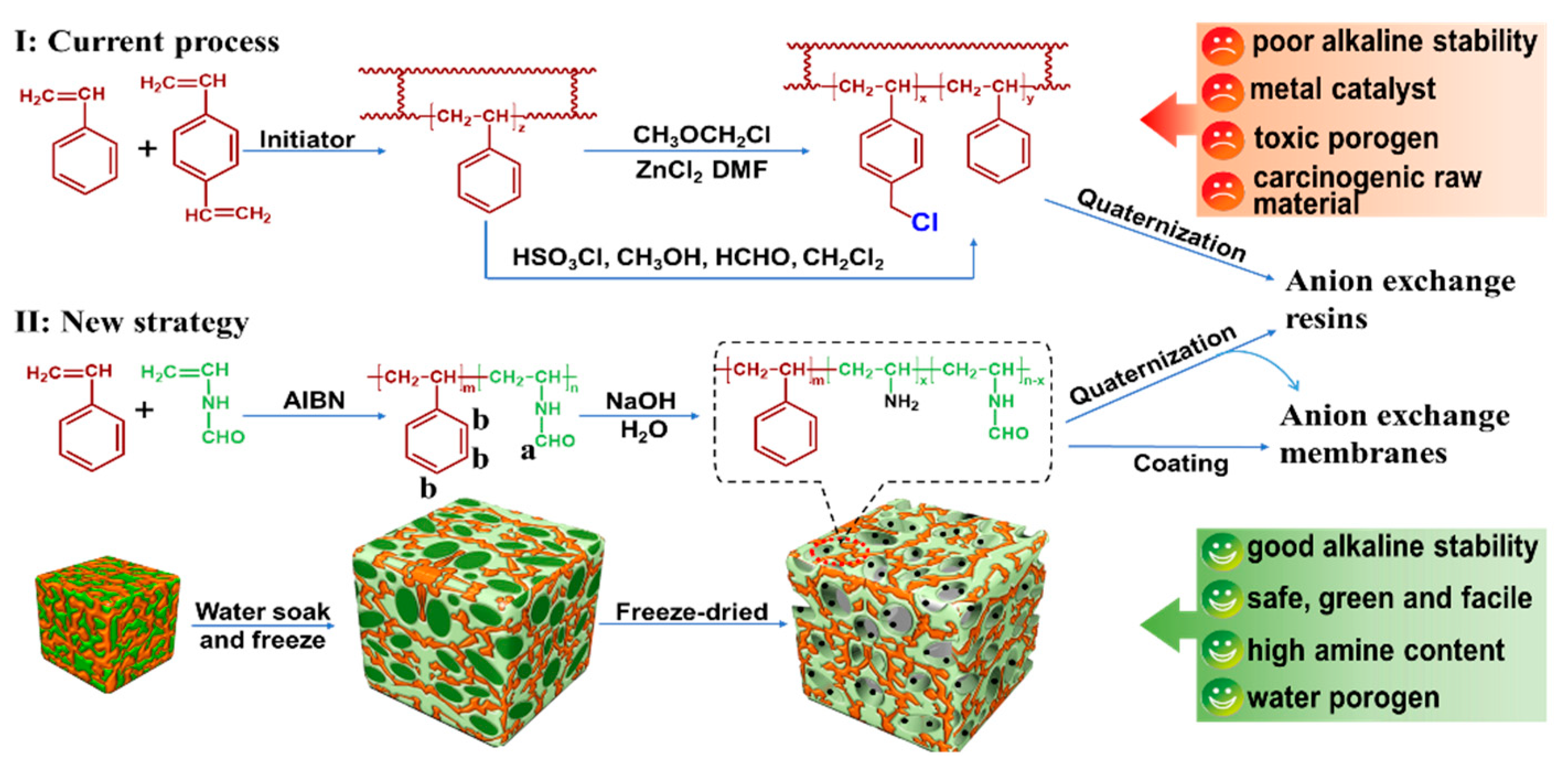 Ijms 21 09404 sch001