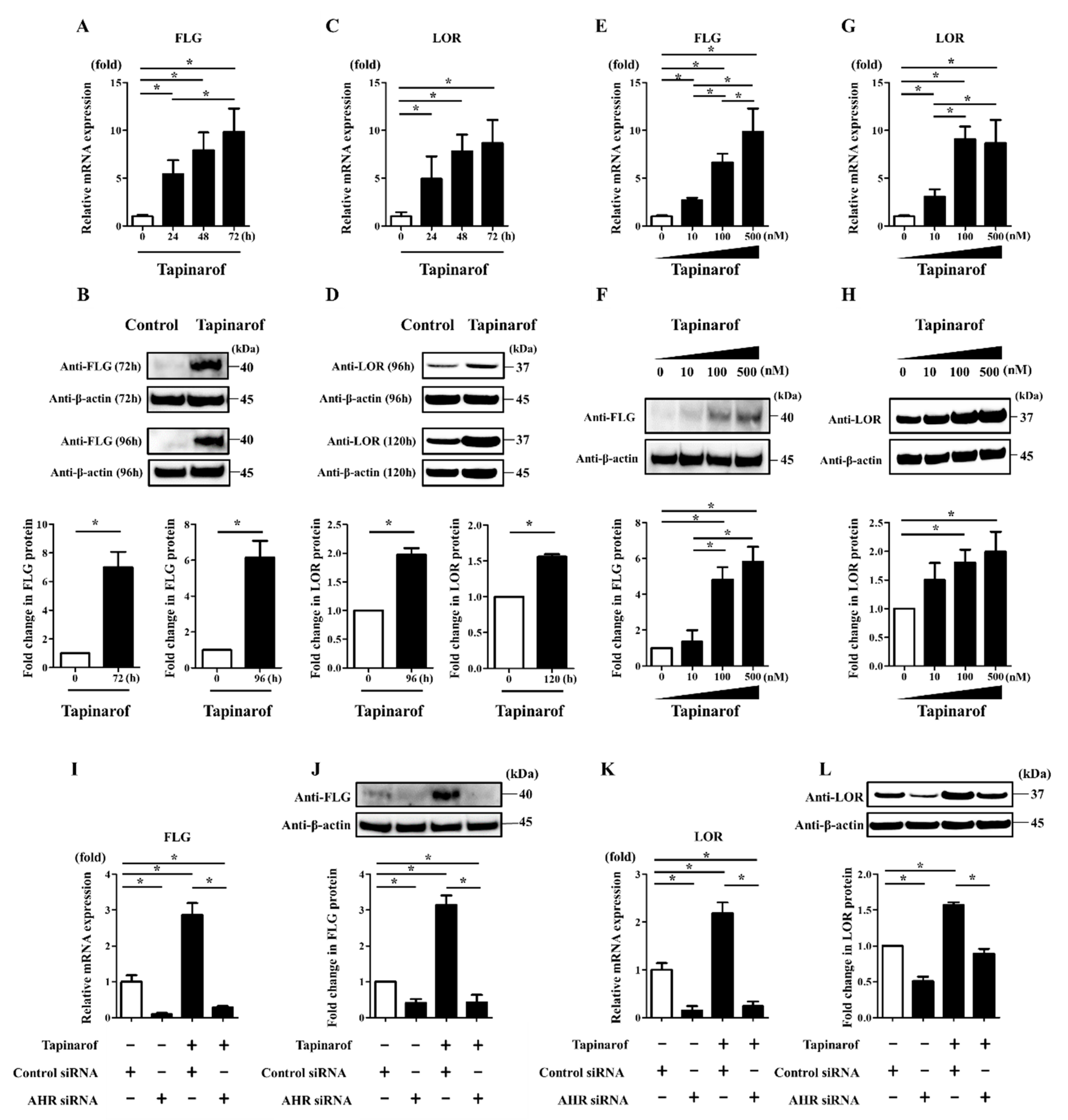 Ijms 21 09412 g001 Ijms 21 09412 g001