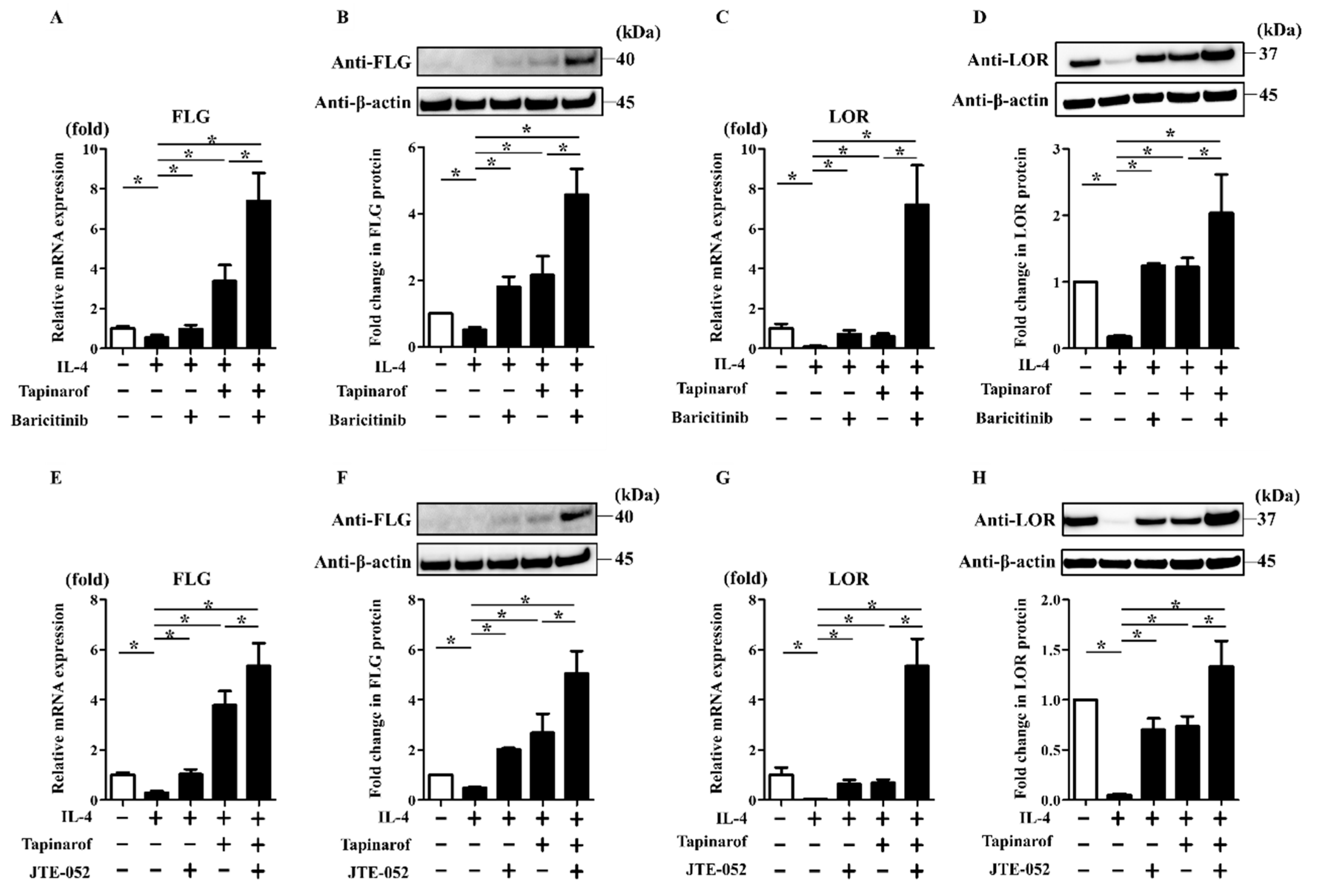 Ijms 21 09412 g005 Ijms 21 09412 g005