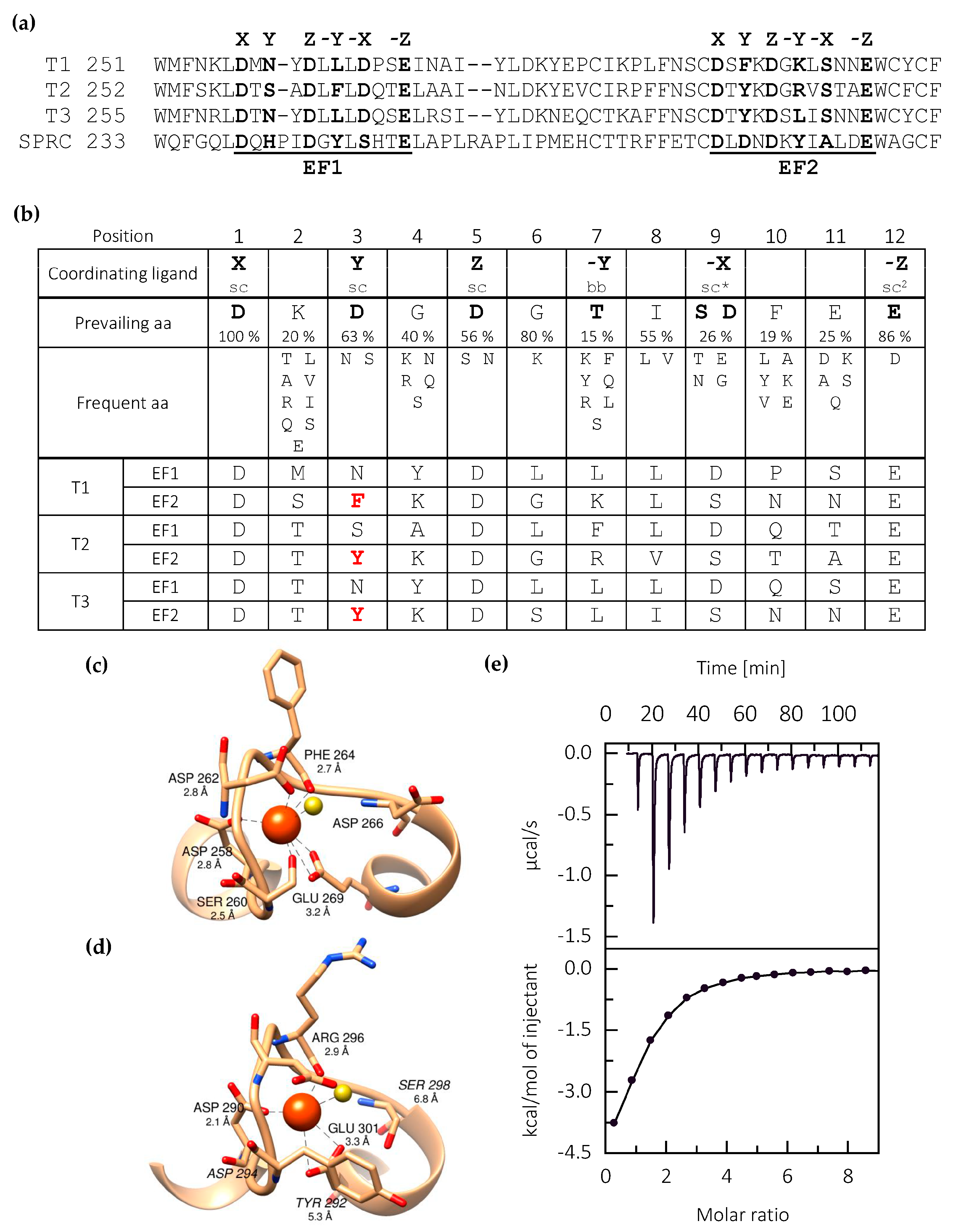 Ijms Free Full Text The Central Region Of Testican 2 Forms A Compact Core And Promotes Cell Migration Html