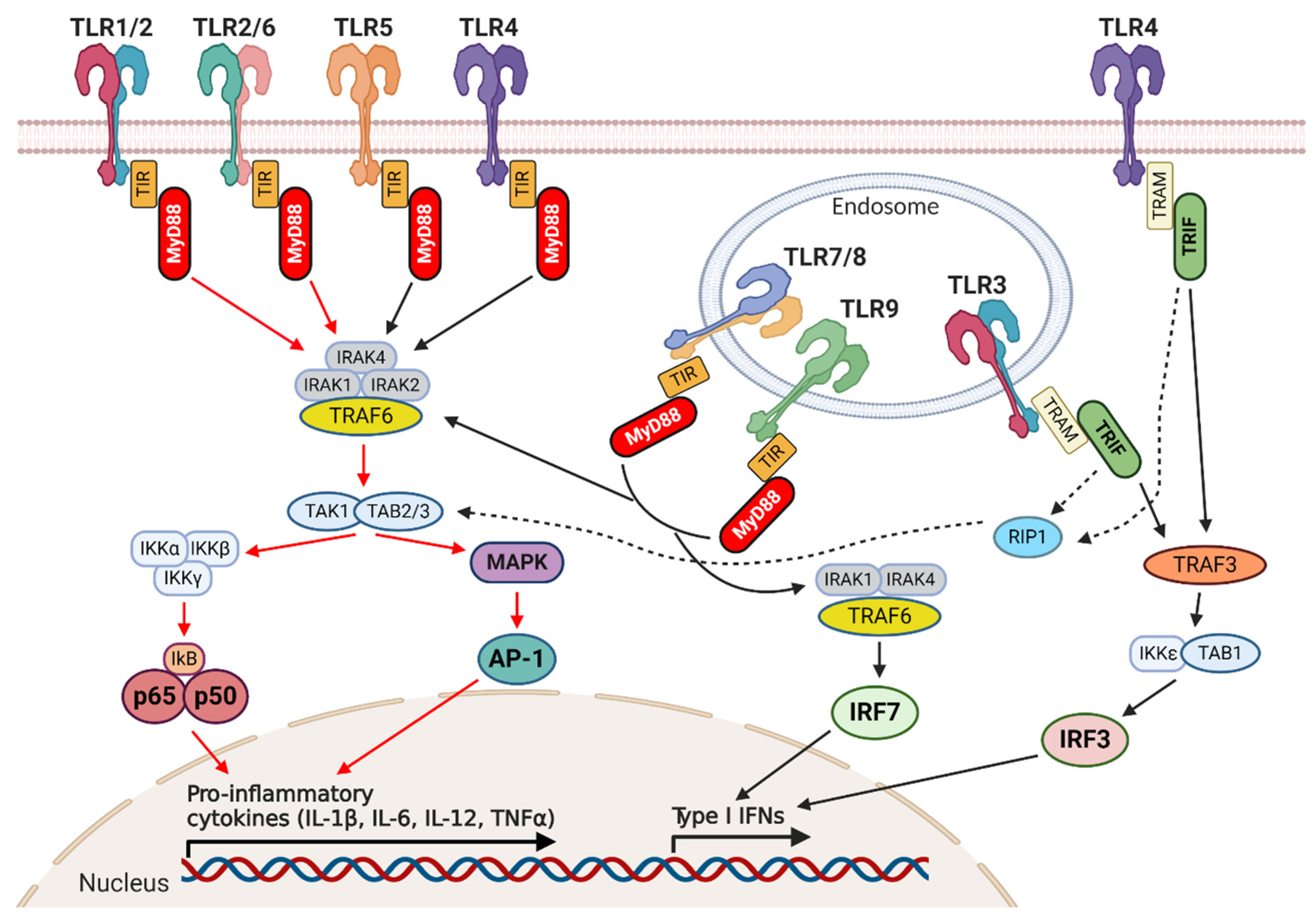 Ijms 21 09418 g001 Ijms 21 09418 g001