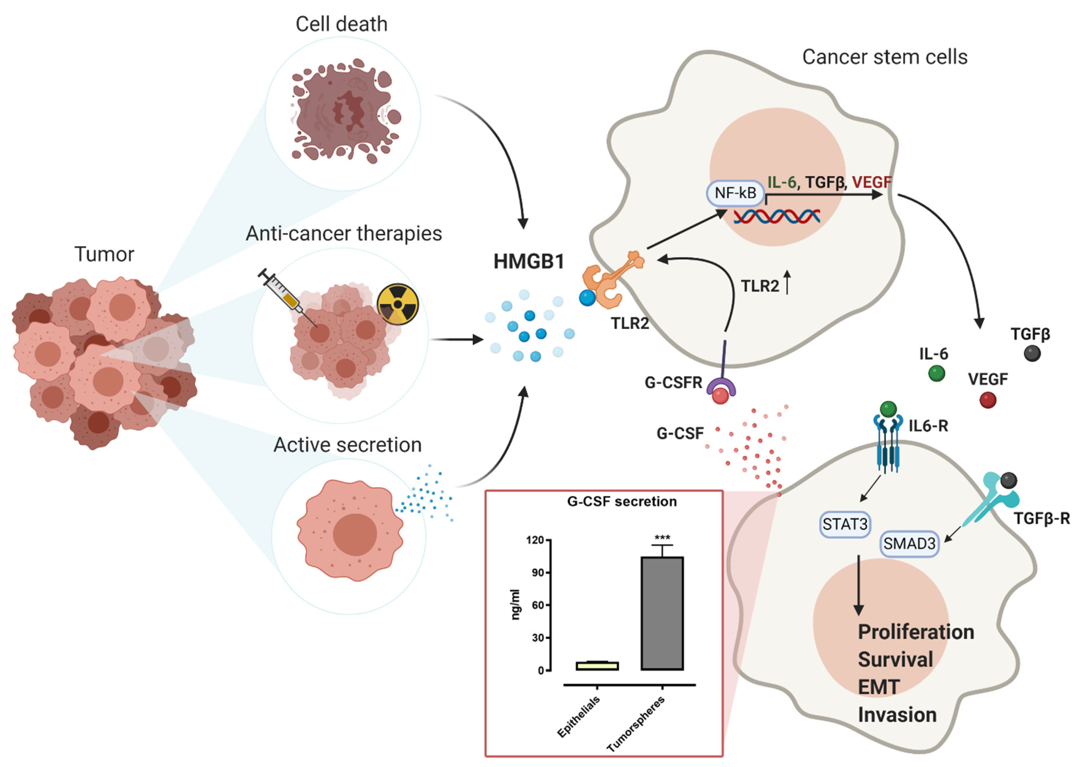 Ijms 21 09418 g003 Ijms 21 09418 g003