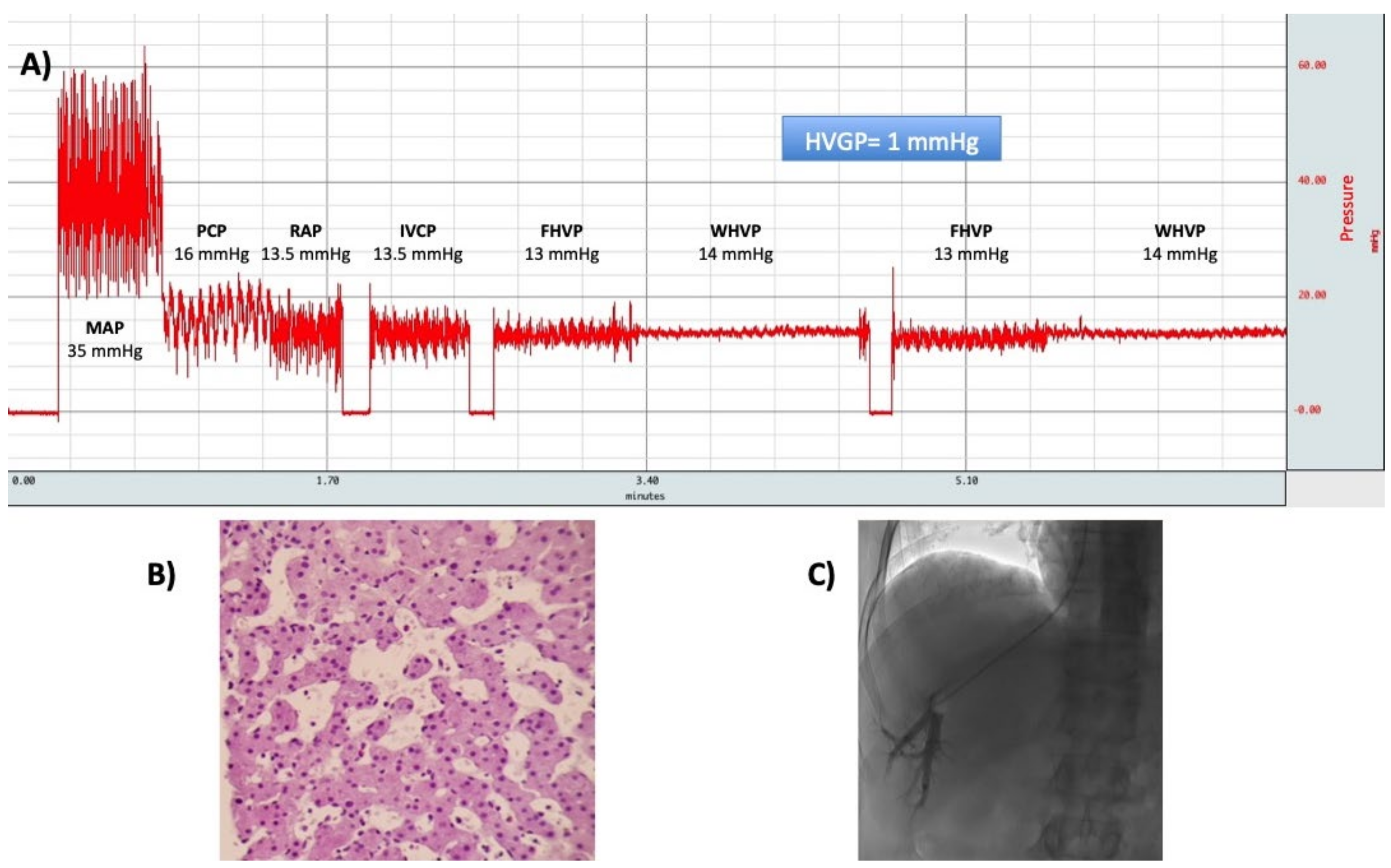 Ijms 21 09420 g008 Ijms 21 09420 g008
