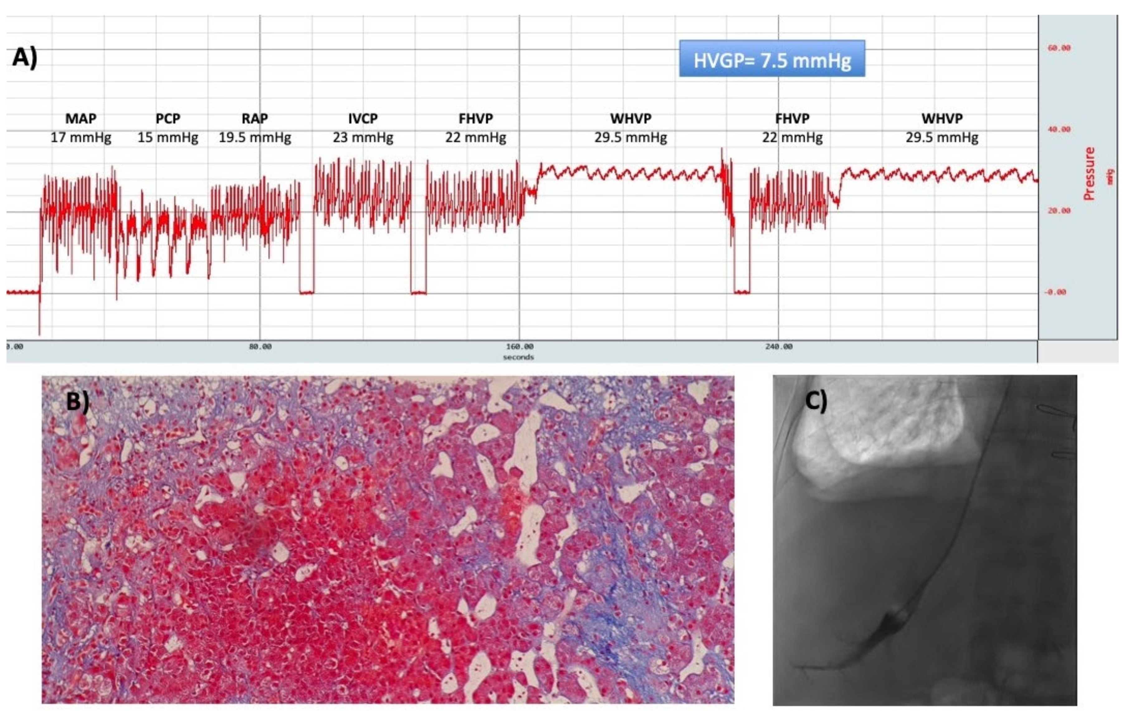 Ijms 21 09420 g009 Ijms 21 09420 g009