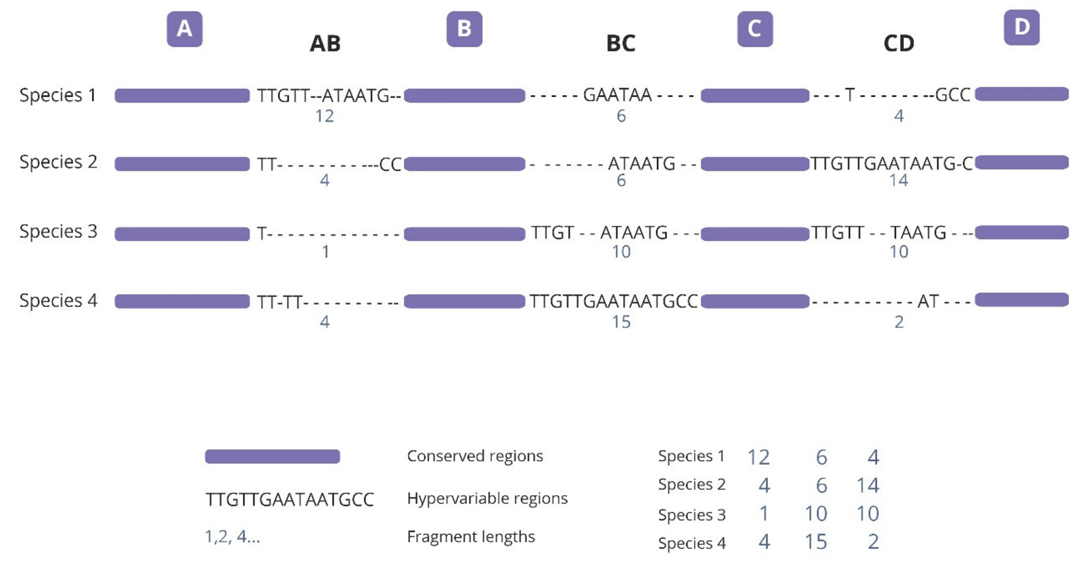 Ijms 21 09421 g001 Ijms 21 09421 g001