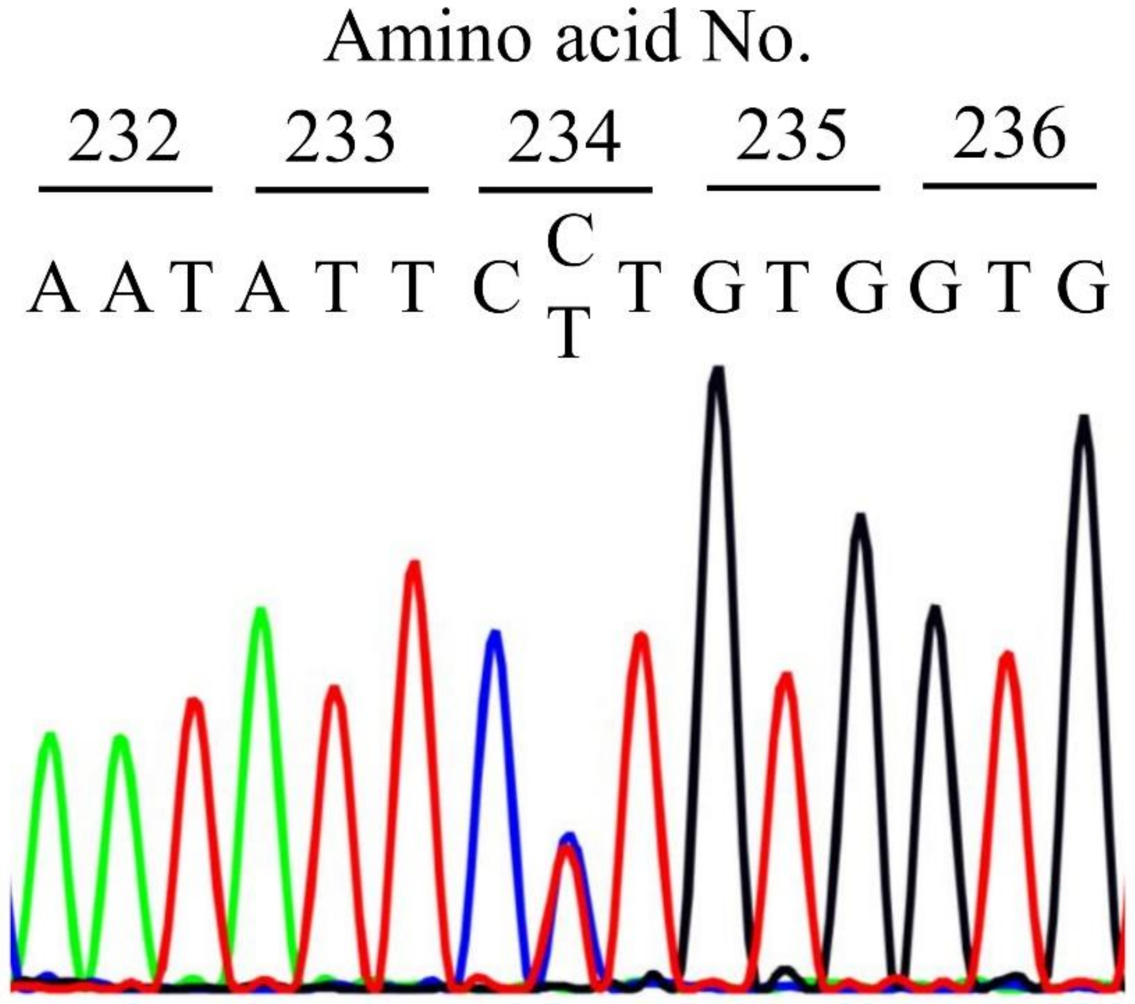 Ijms 21 09422 g001 Ijms 21 09422 g001