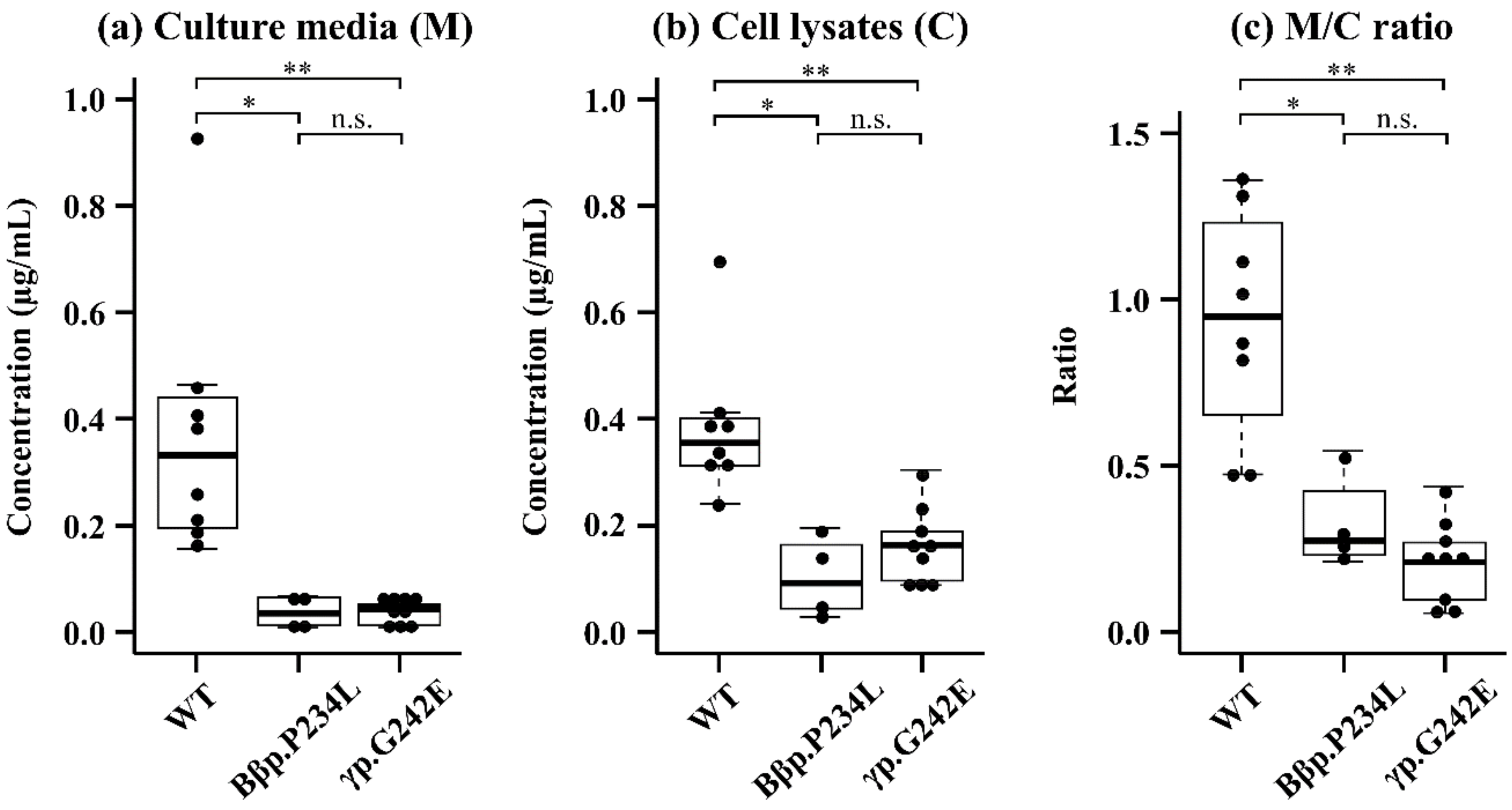 Ijms 21 09422 g002 Ijms 21 09422 g002