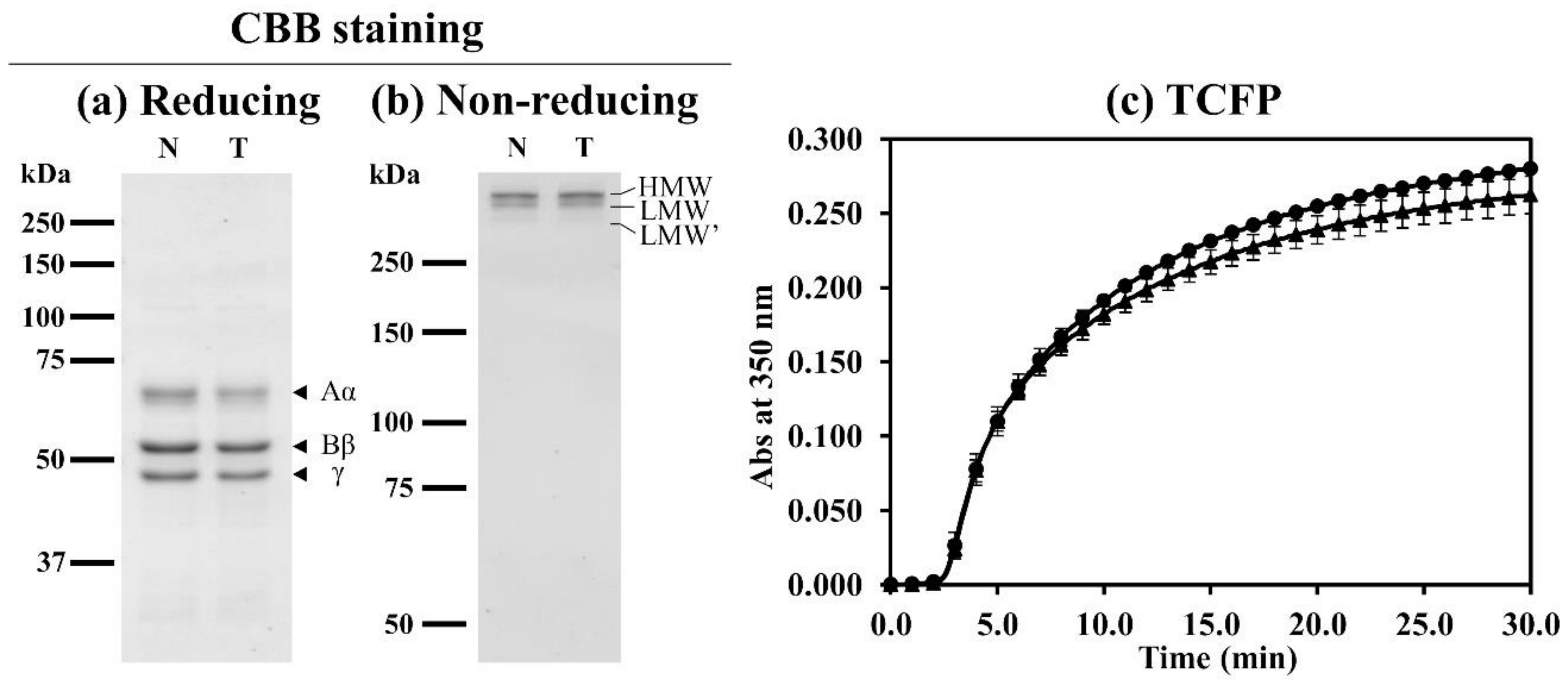 Ijms 21 09422 g004 Ijms 21 09422 g004