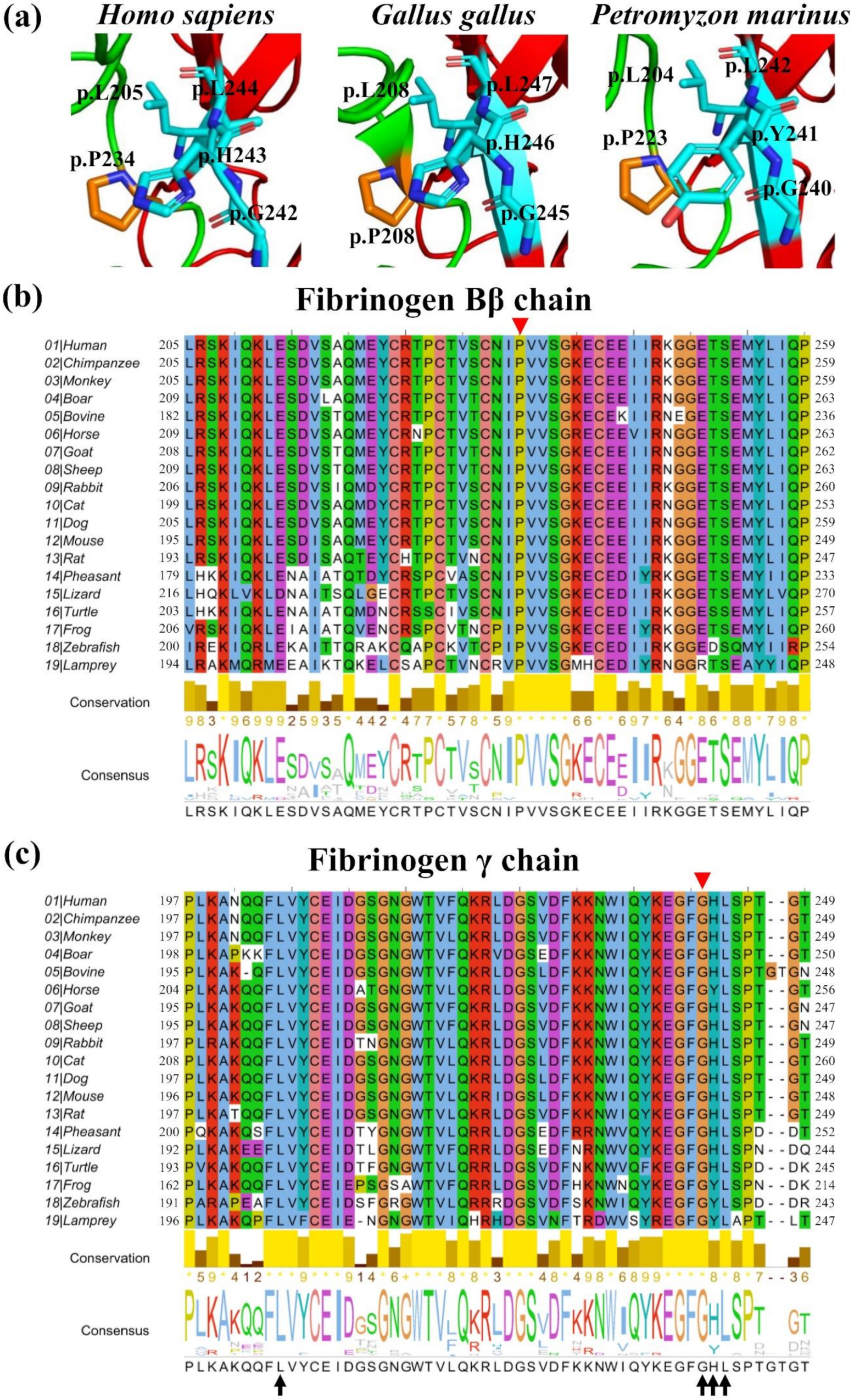 Ijms 21 09422 g005 Ijms 21 09422 g005