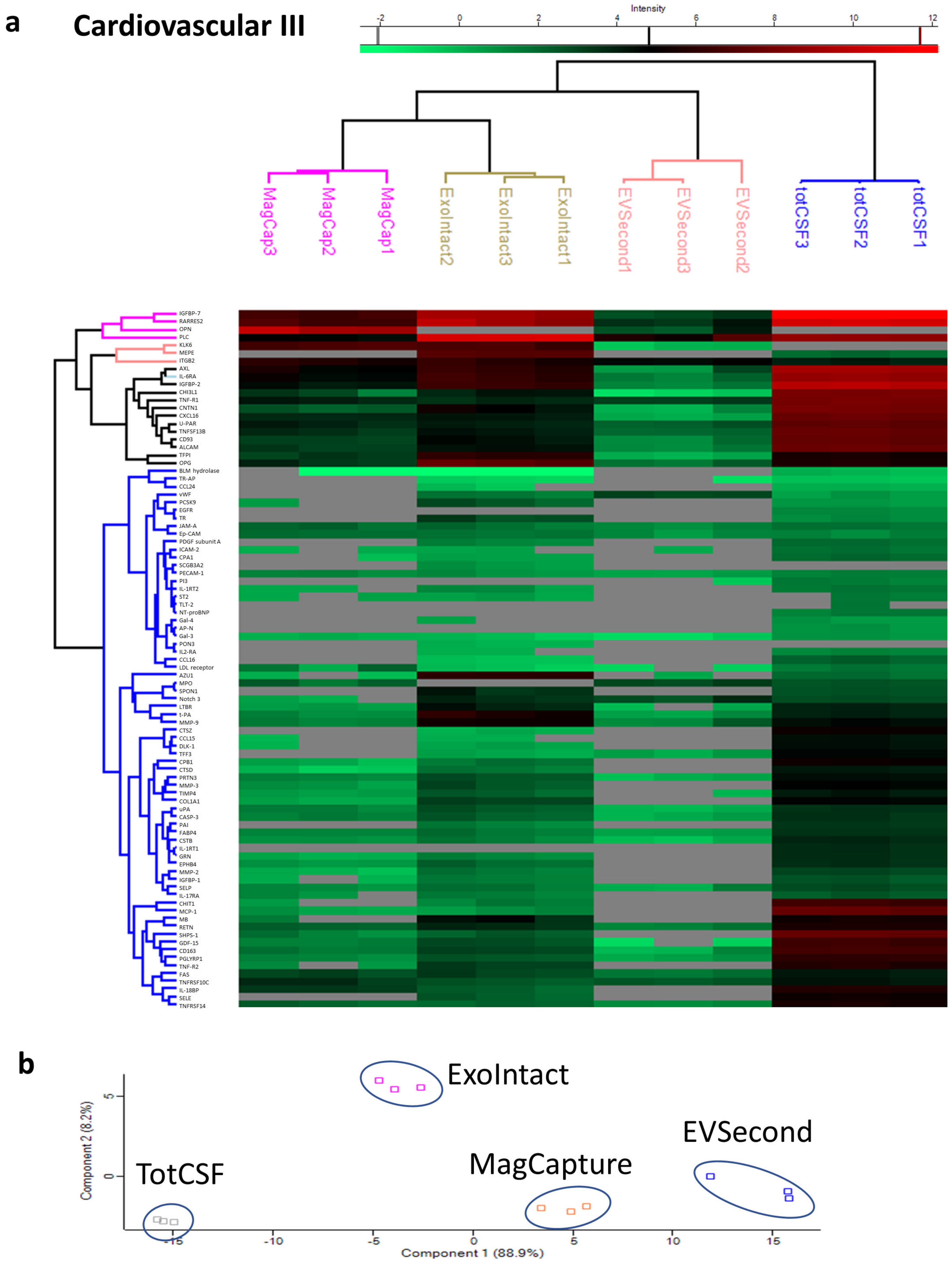 Ijms 21 09425 g005 Ijms 21 09425 g005