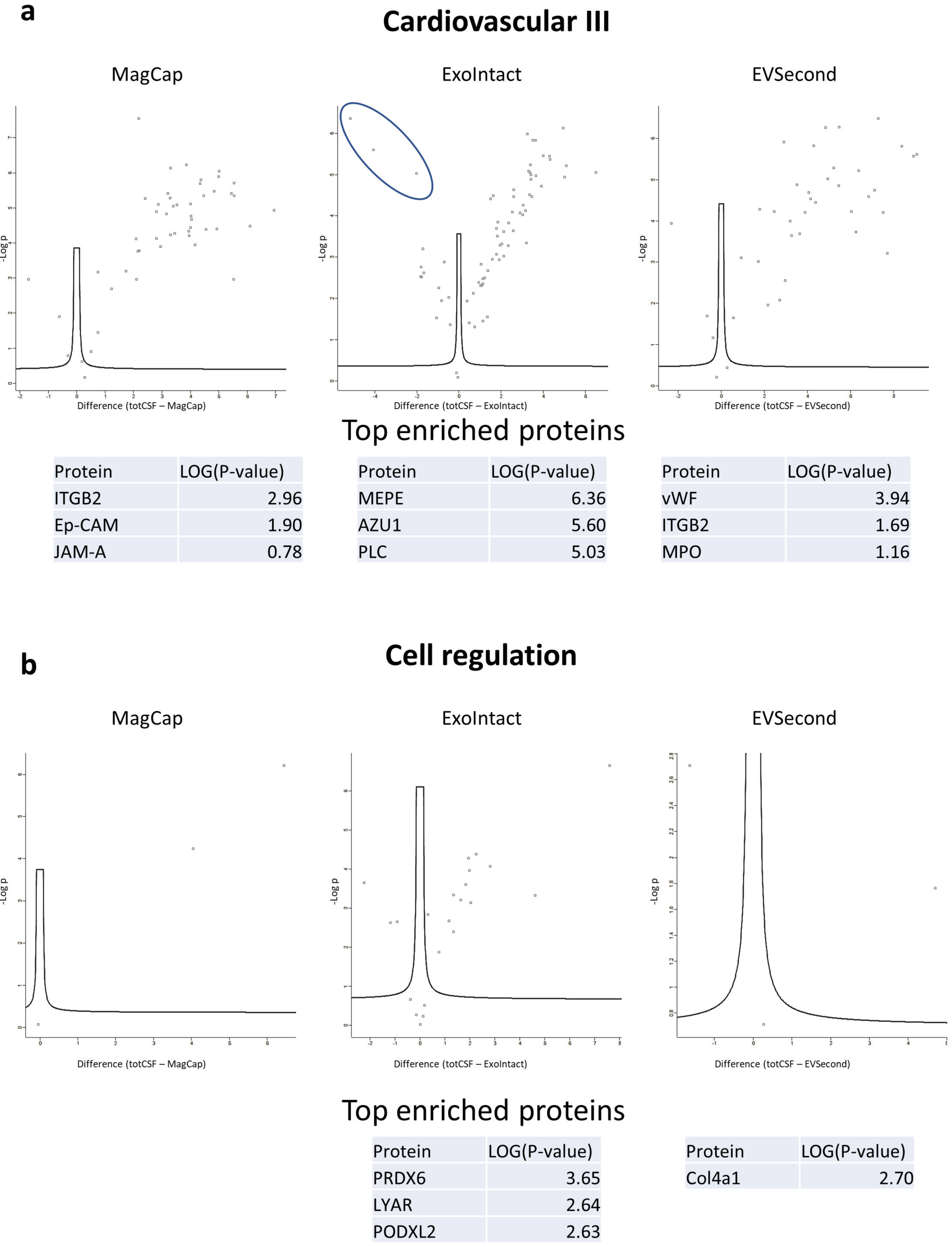 Ijms 21 09425 g007 Ijms 21 09425 g007
