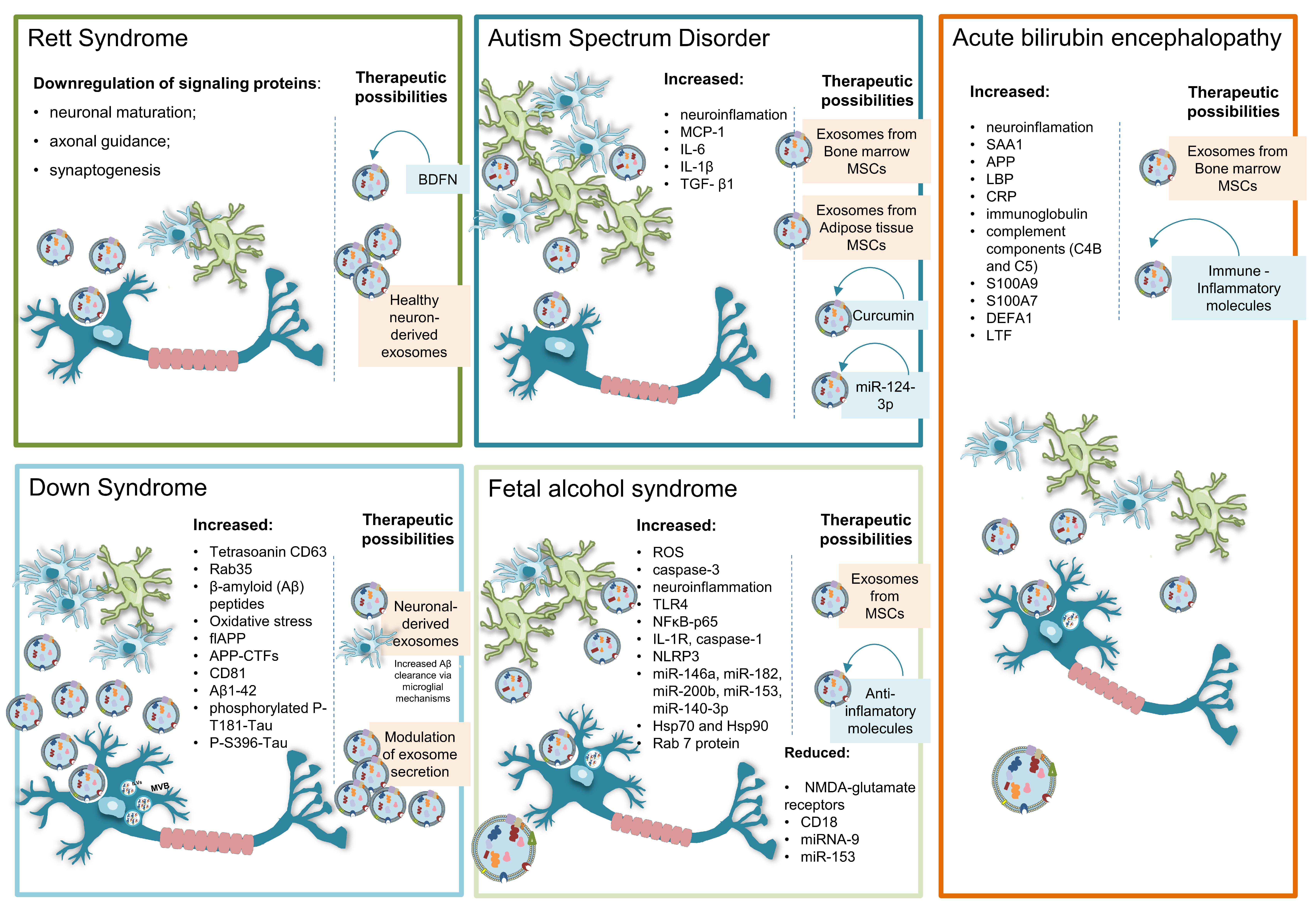 Ijms 21 09428 g002 Ijms 21 09428 g002
