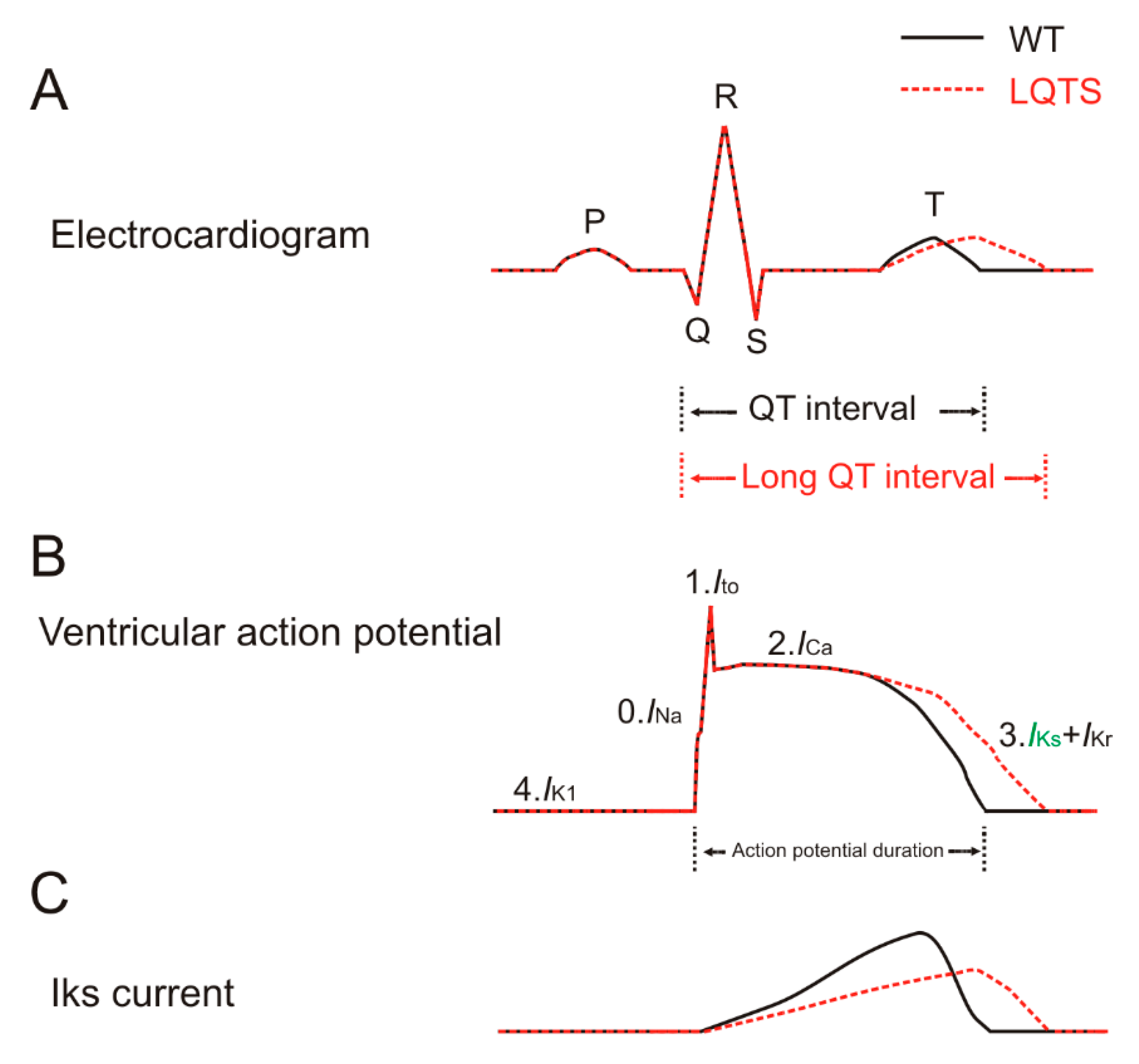 Ijms 21 09440 g001 Ijms 21 09440 g001