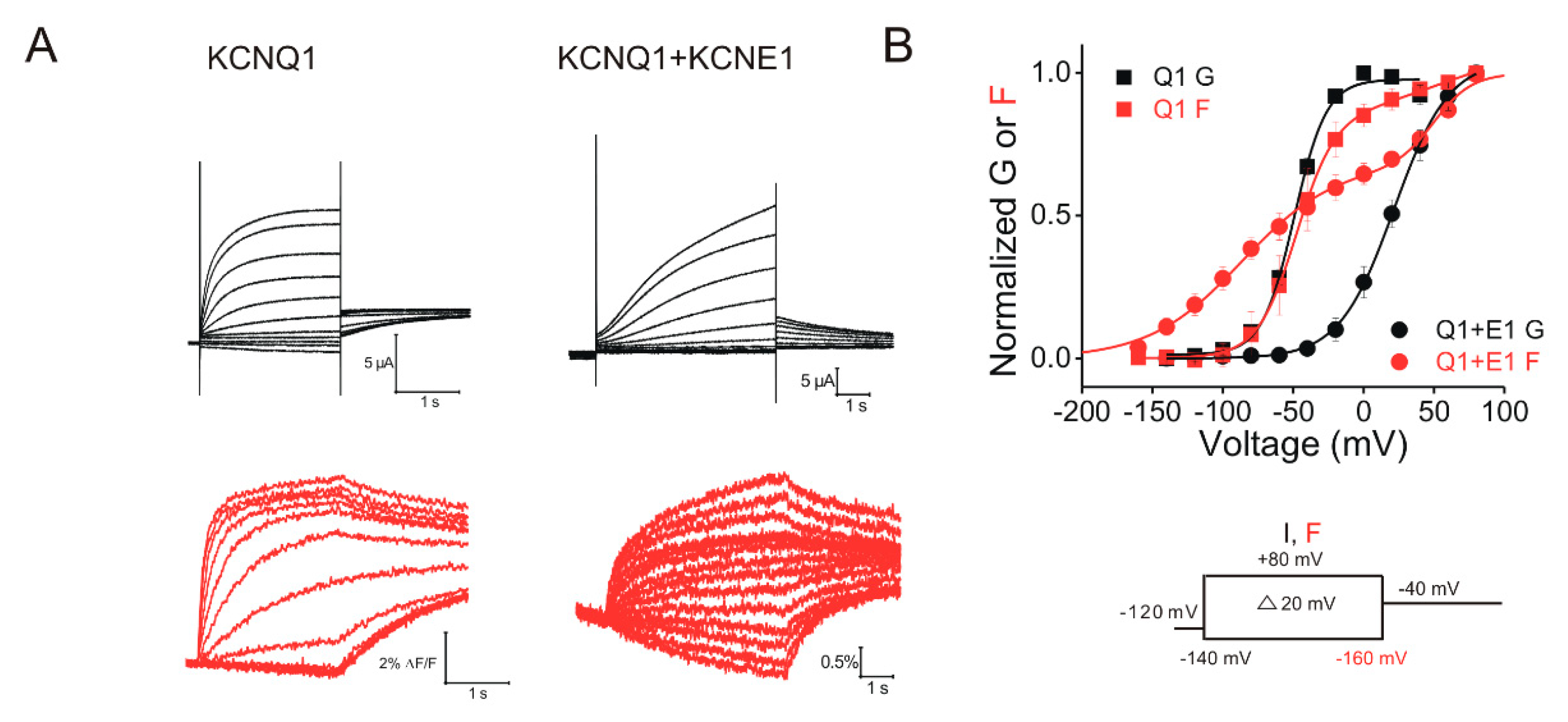 Ijms 21 09440 g003 Ijms 21 09440 g003