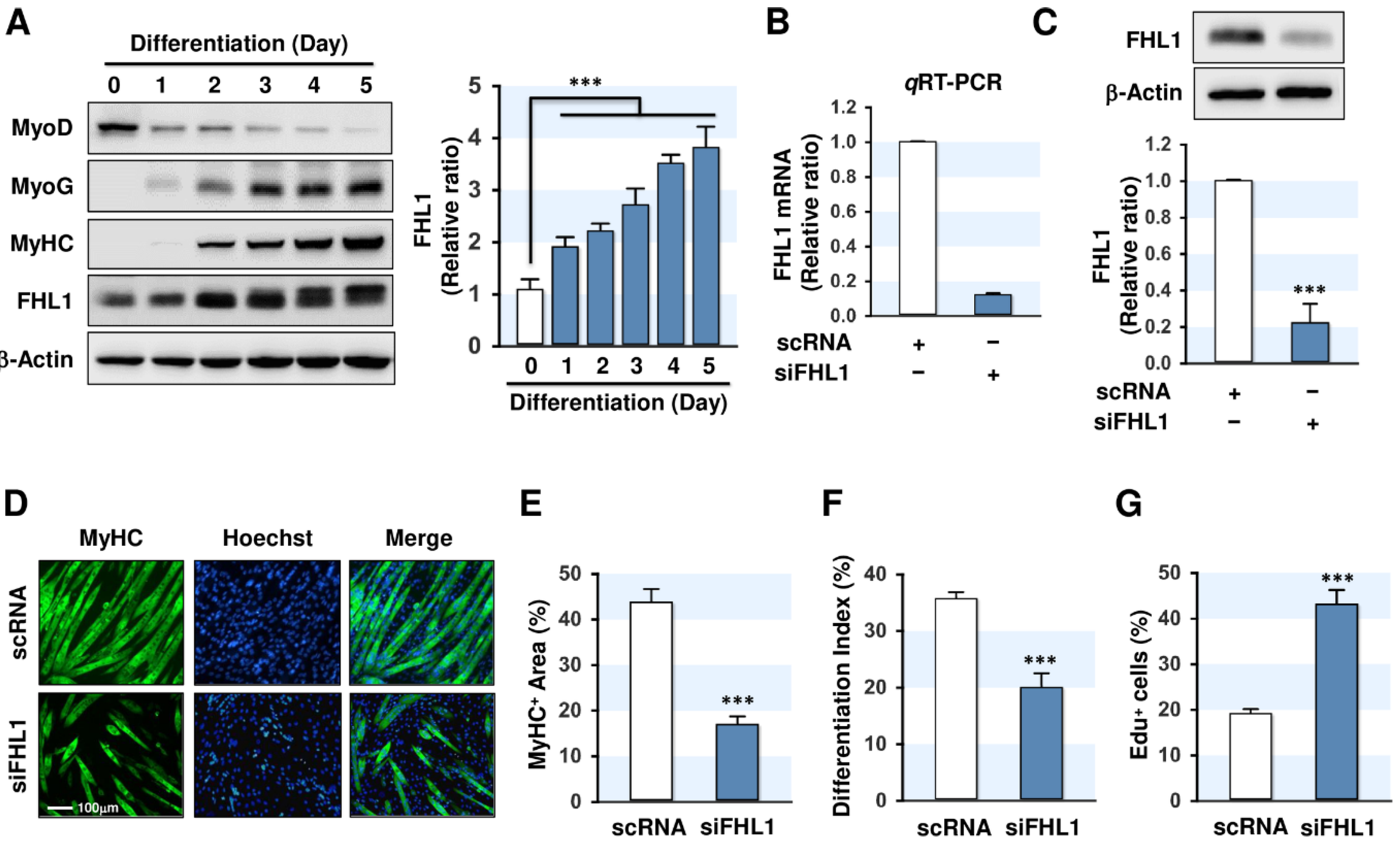 Ijms 21 09445 g002 Ijms 21 09445 g002