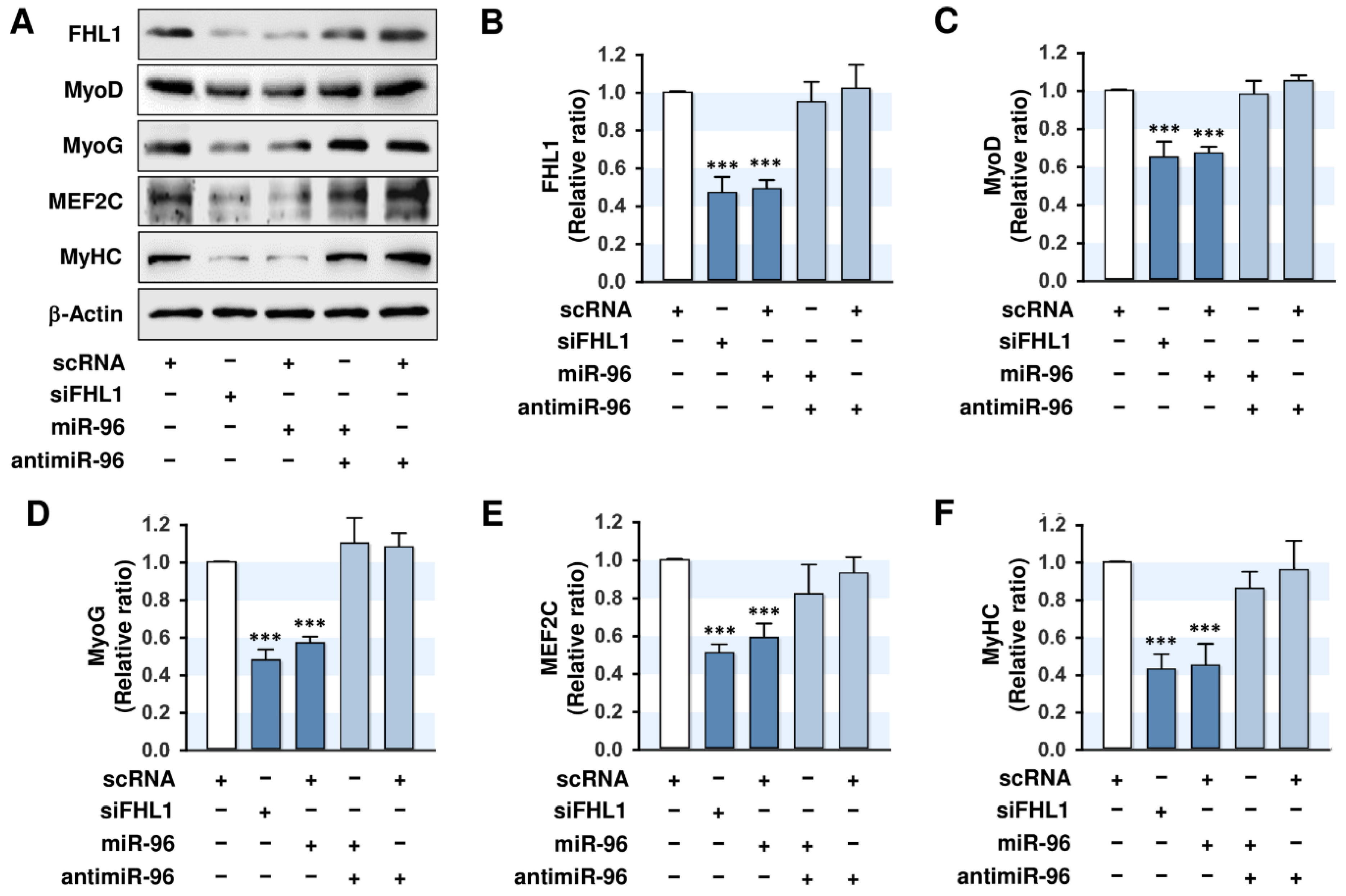 Ijms 21 09445 g005 Ijms 21 09445 g005