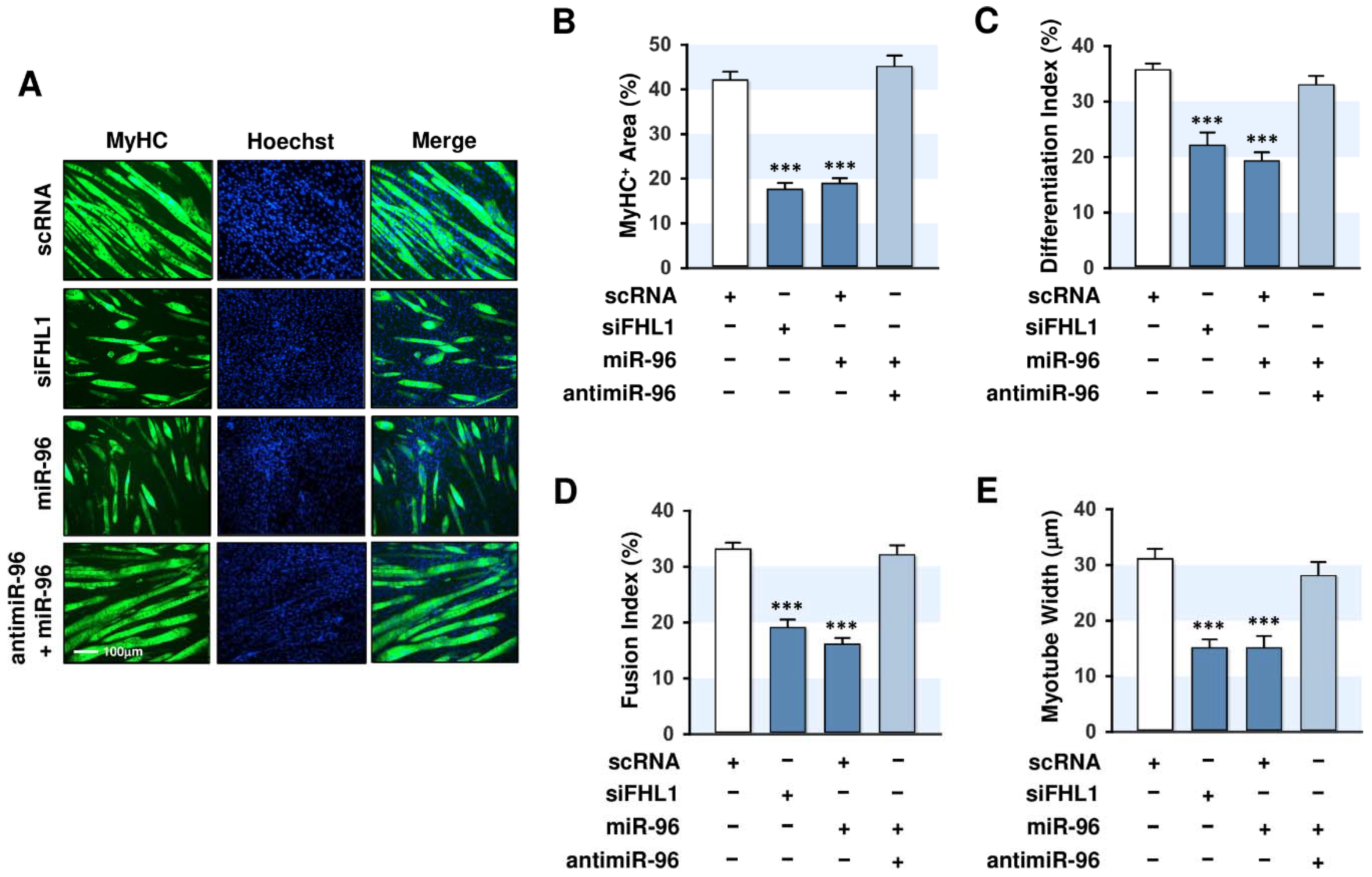 Ijms 21 09445 g006 Ijms 21 09445 g006