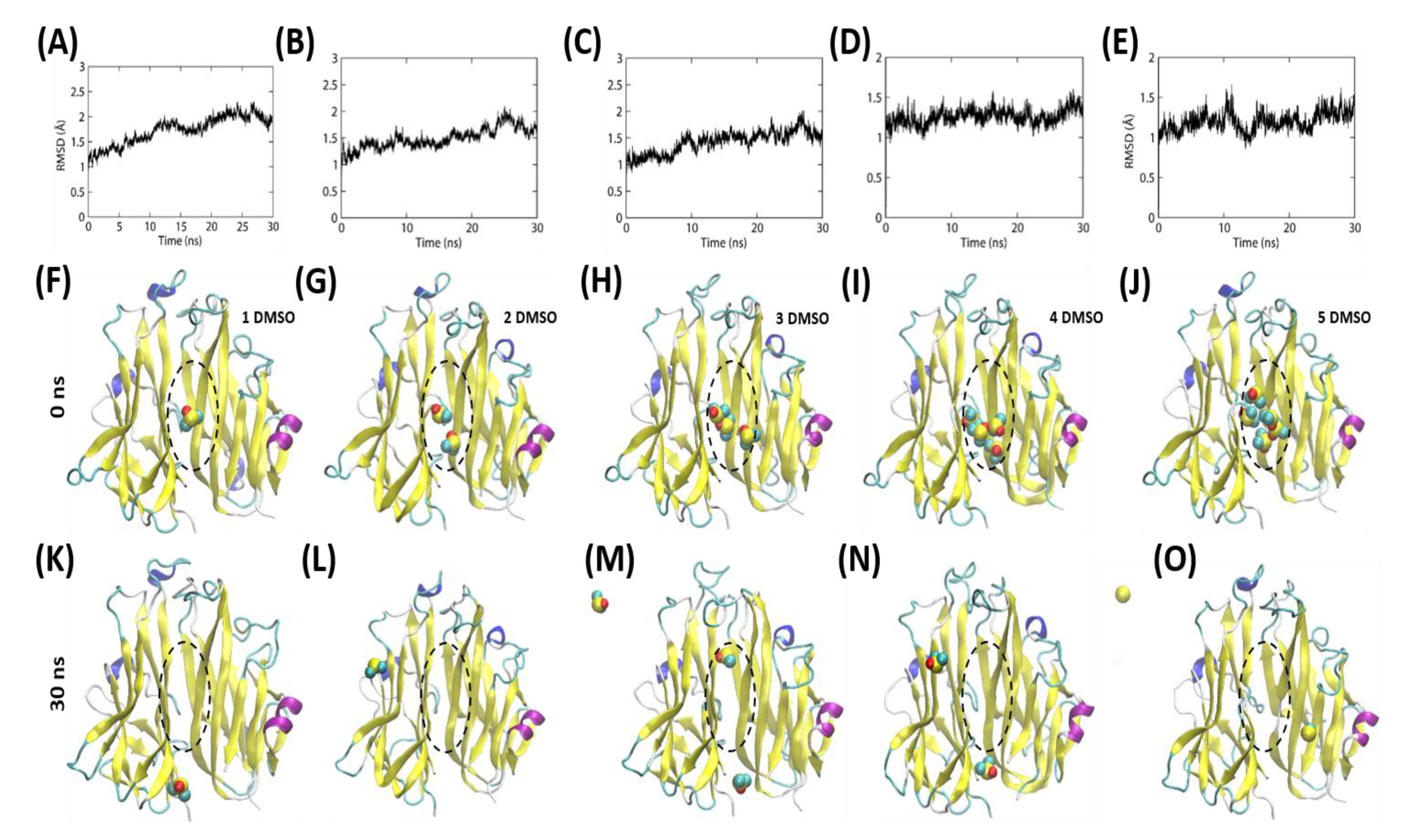Ijms 21 09450 g004 Ijms 21 09450 g004