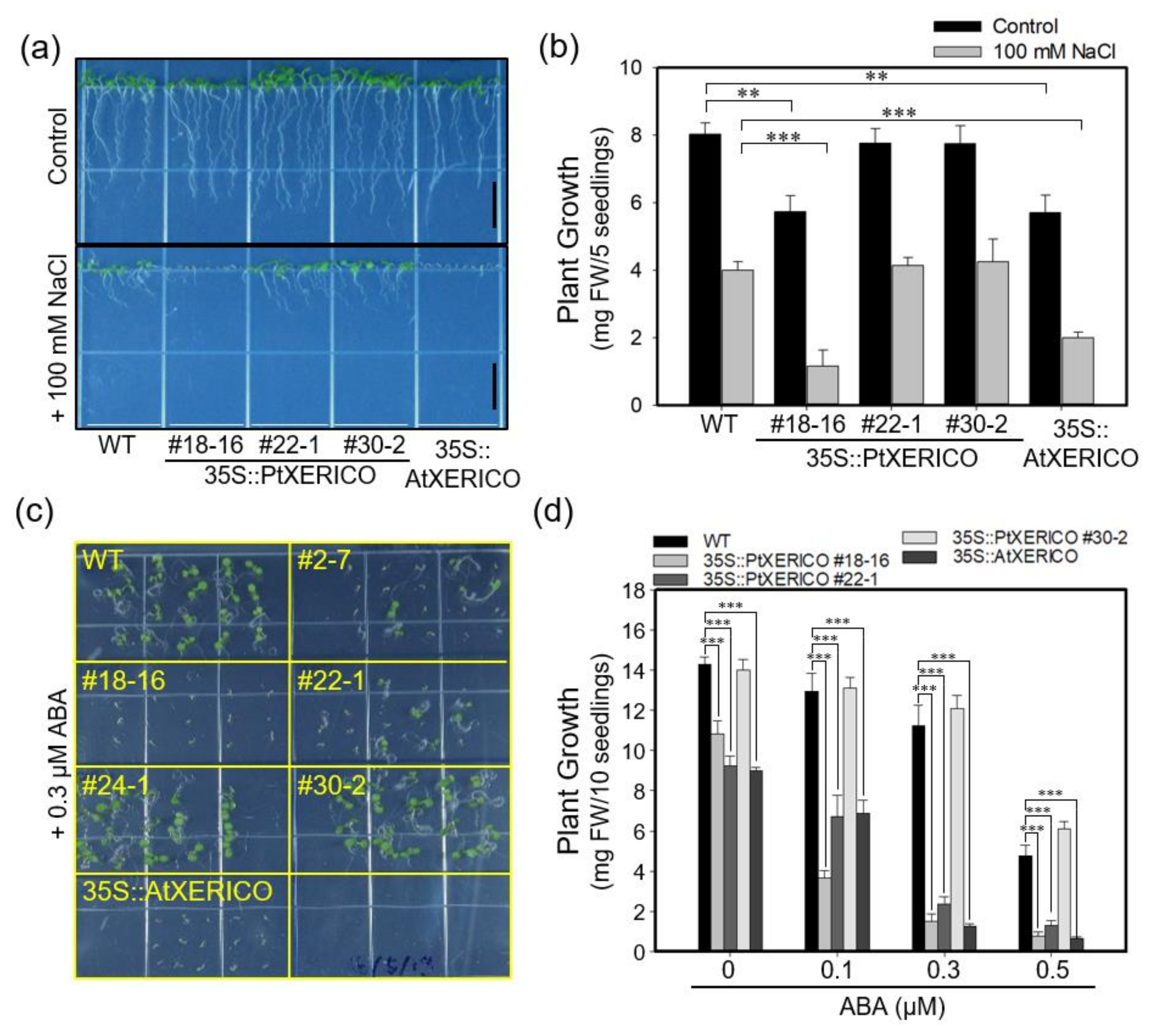 Ijms 21 09454 g003 Ijms 21 09454 g003
