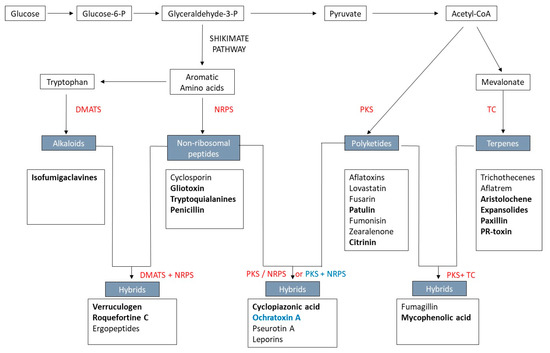 Regulation of Secondary Metabolism in the Penicillium Genus