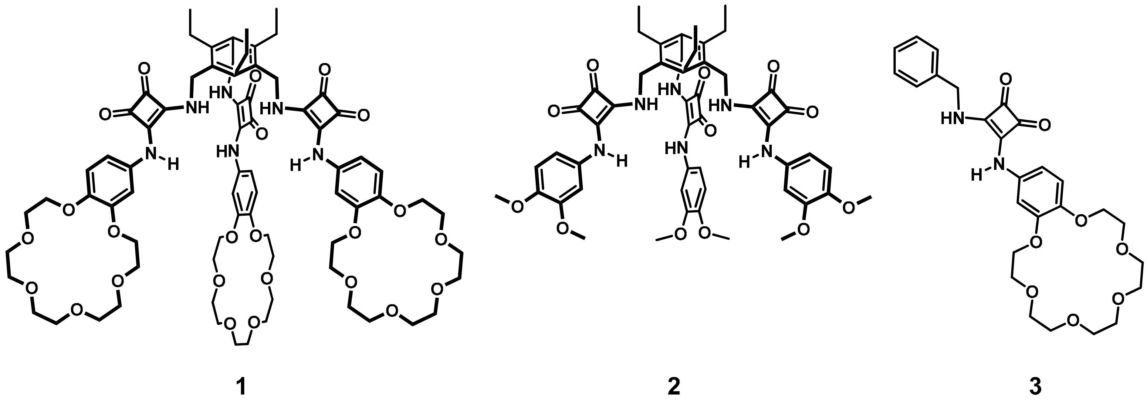 Ijms 21 09465 g001 Ijms 21 09465 g001
