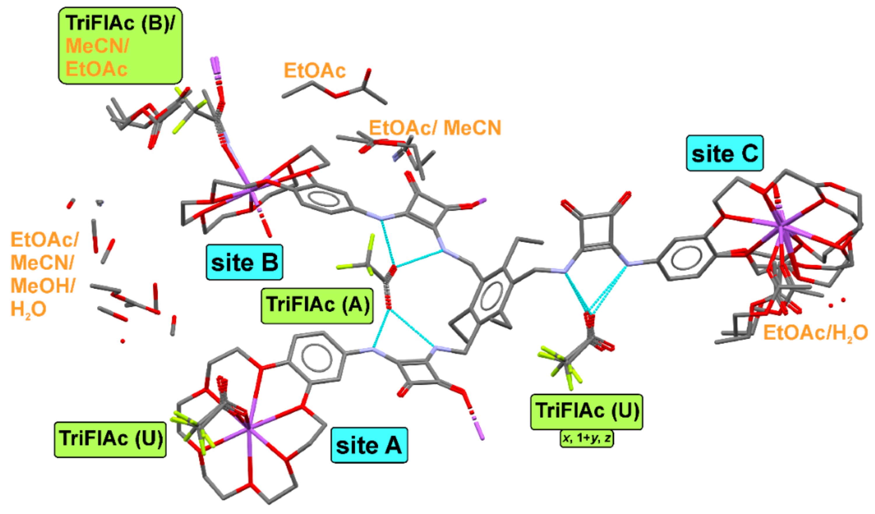 Ijms 21 09465 g004 Ijms 21 09465 g004