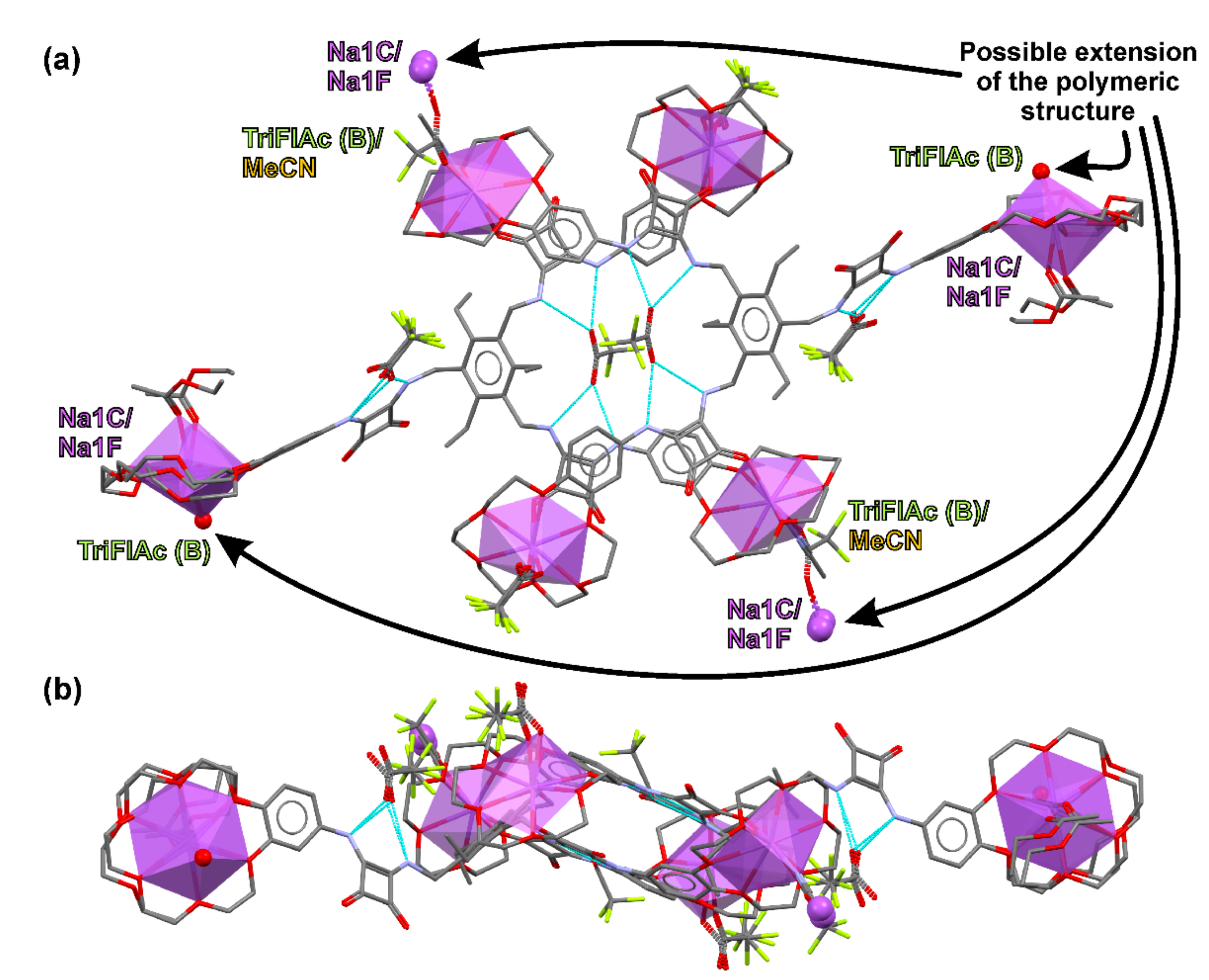 Ijms 21 09465 g005 Ijms 21 09465 g005