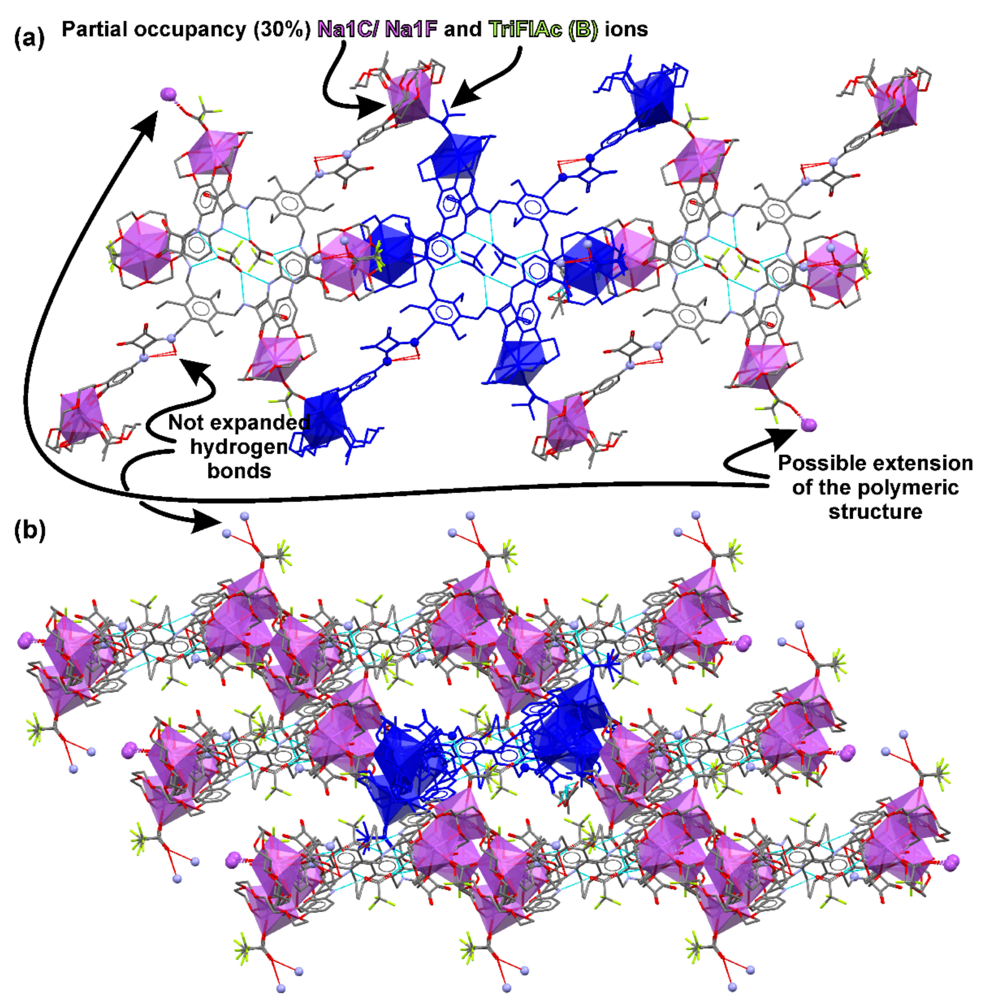 Ijms 21 09465 g006 Ijms 21 09465 g006