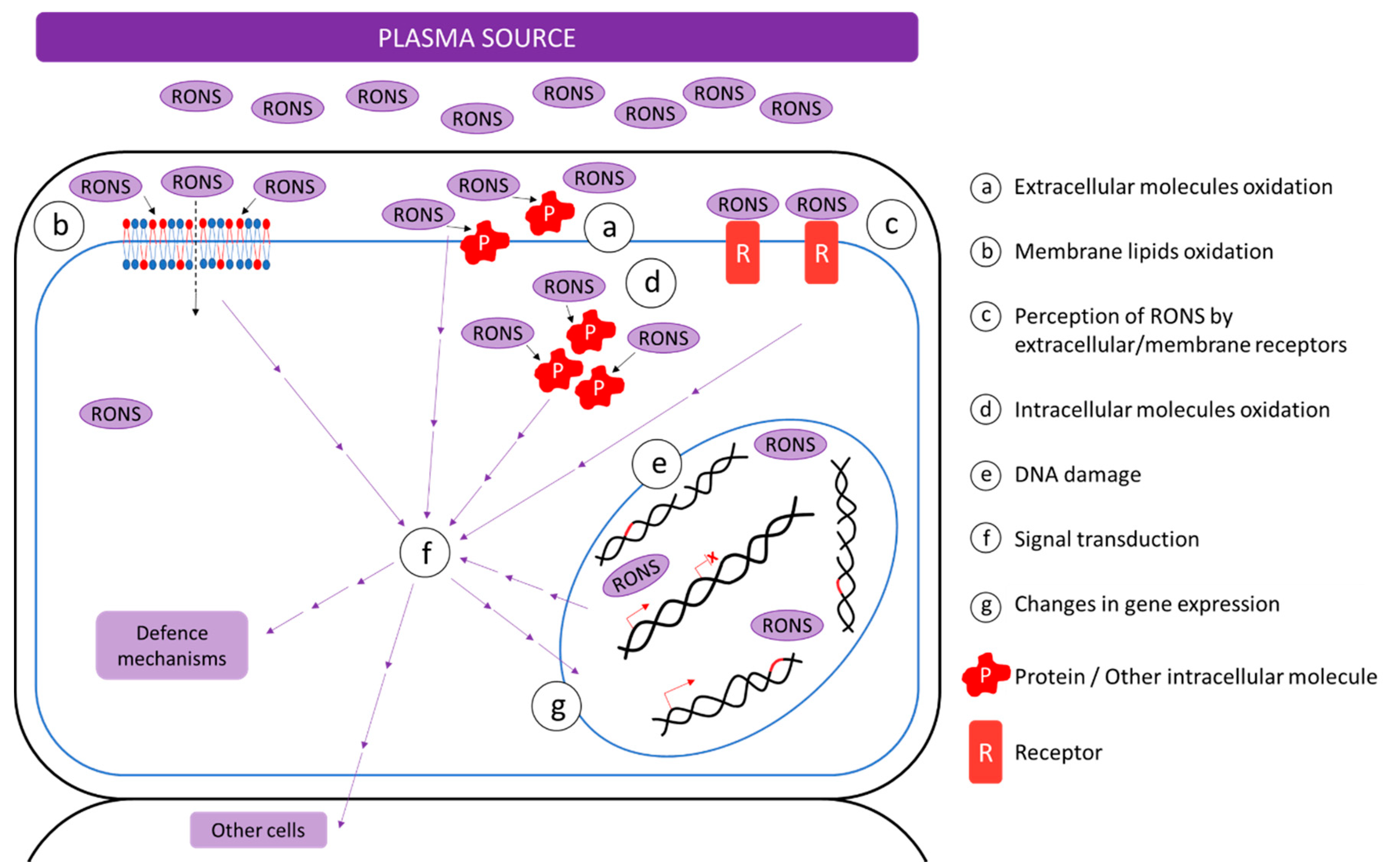 Ijms 21 09466 g001 Ijms 21 09466 g001