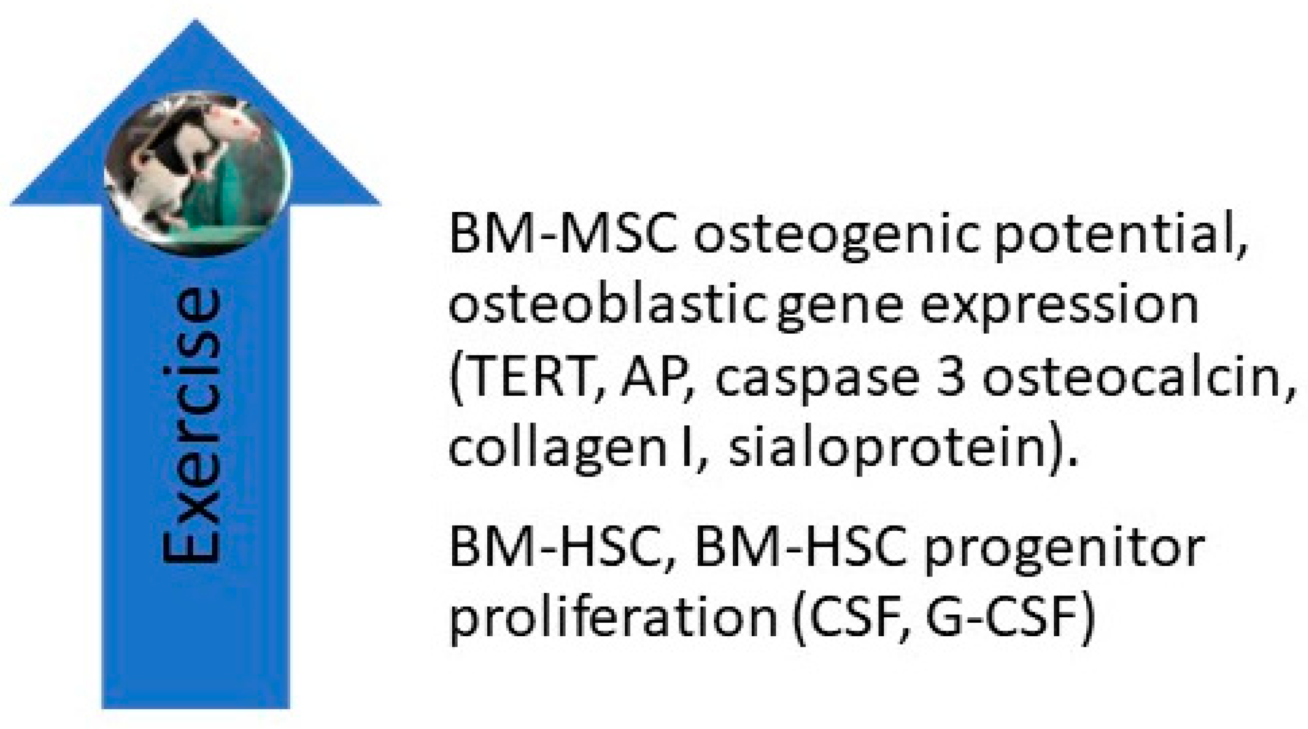 Ijms 21 09471 g002 Ijms 21 09471 g002