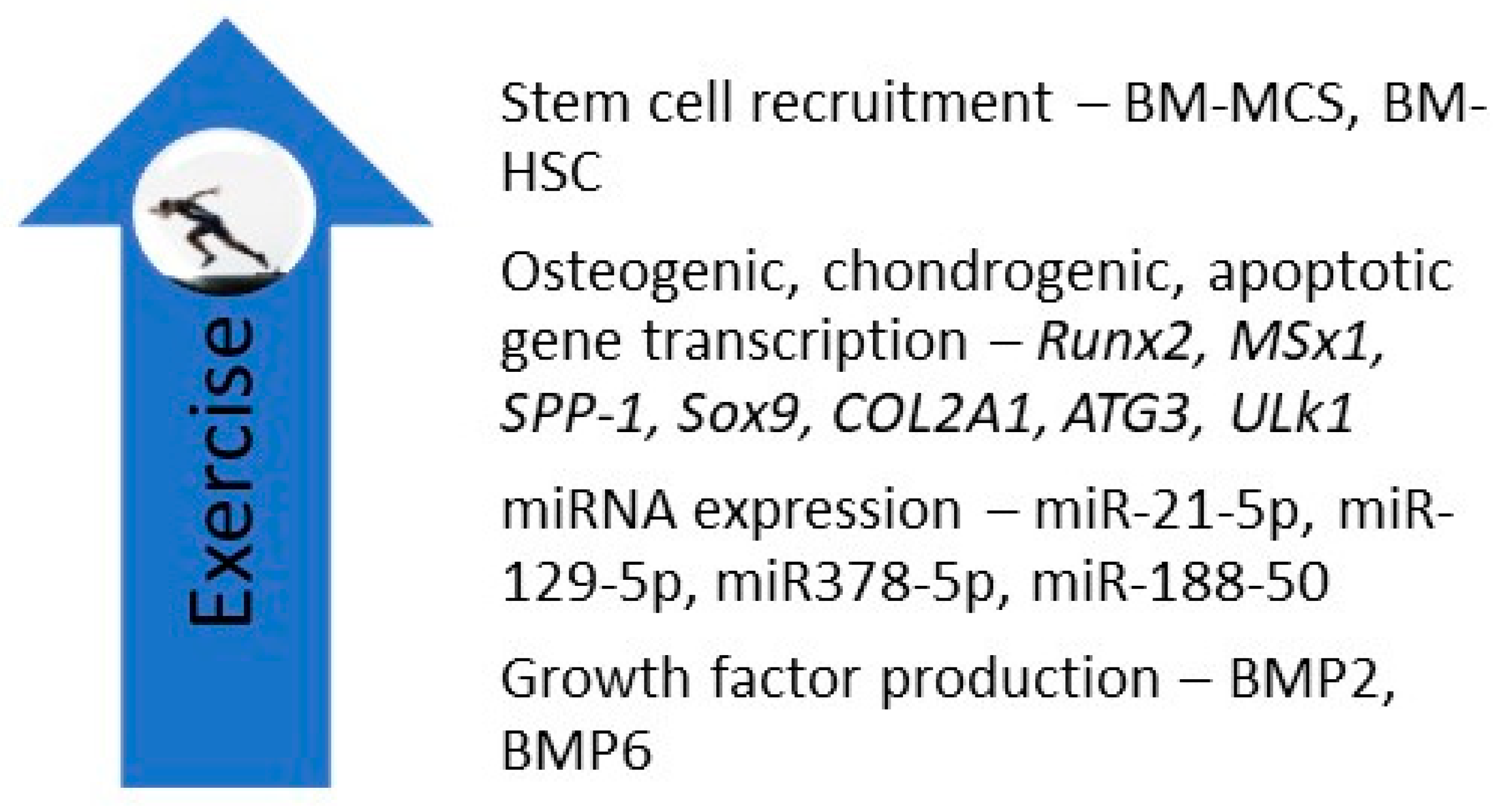 Ijms 21 09471 g003 Ijms 21 09471 g003