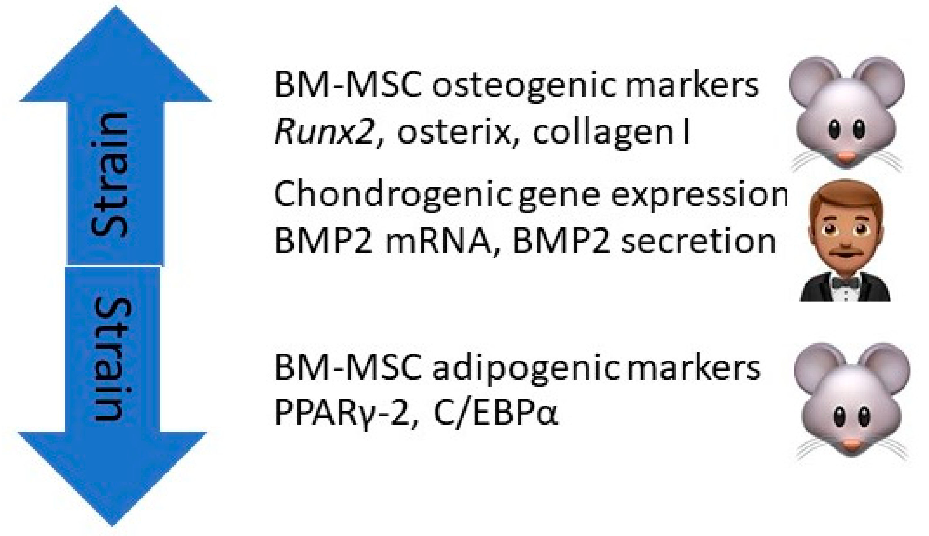 Ijms 21 09471 g004 Ijms 21 09471 g004