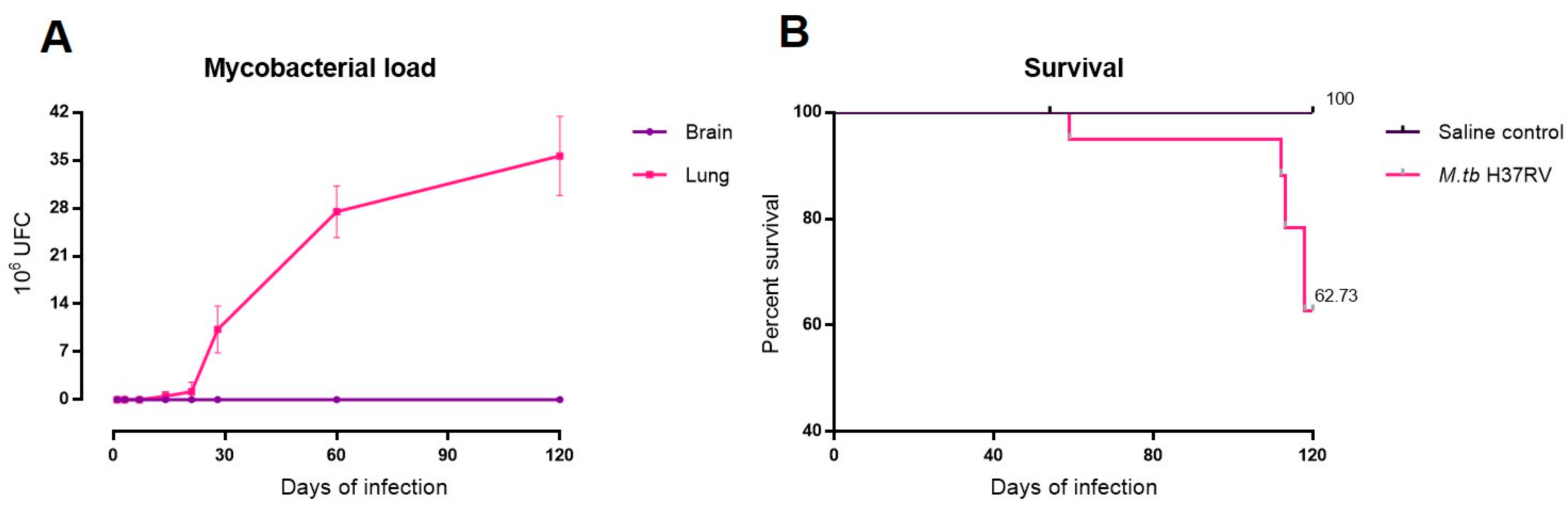 Ijms 21 09483 g001 Ijms 21 09483 g001