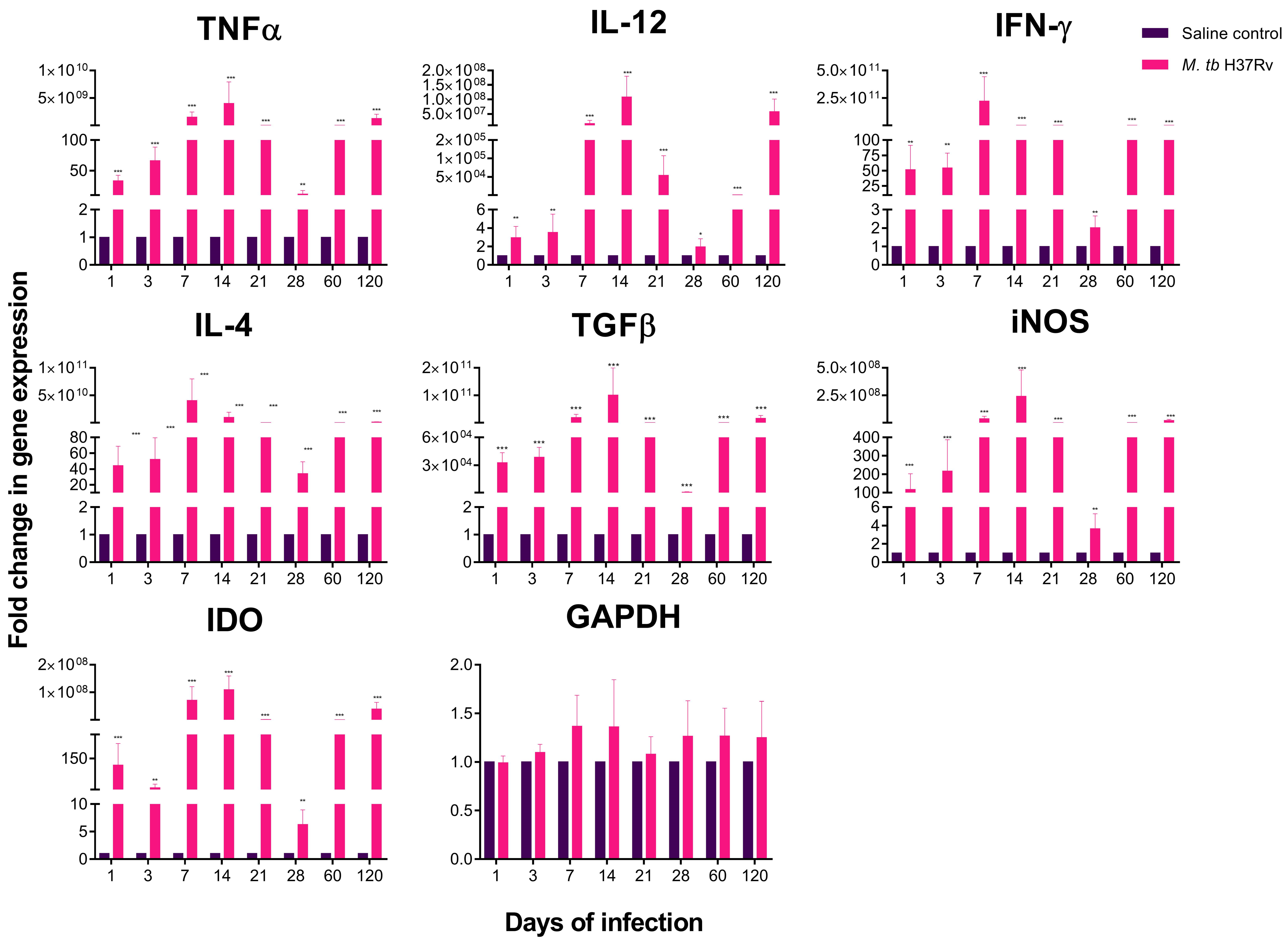 Ijms 21 09483 g003 Ijms 21 09483 g003