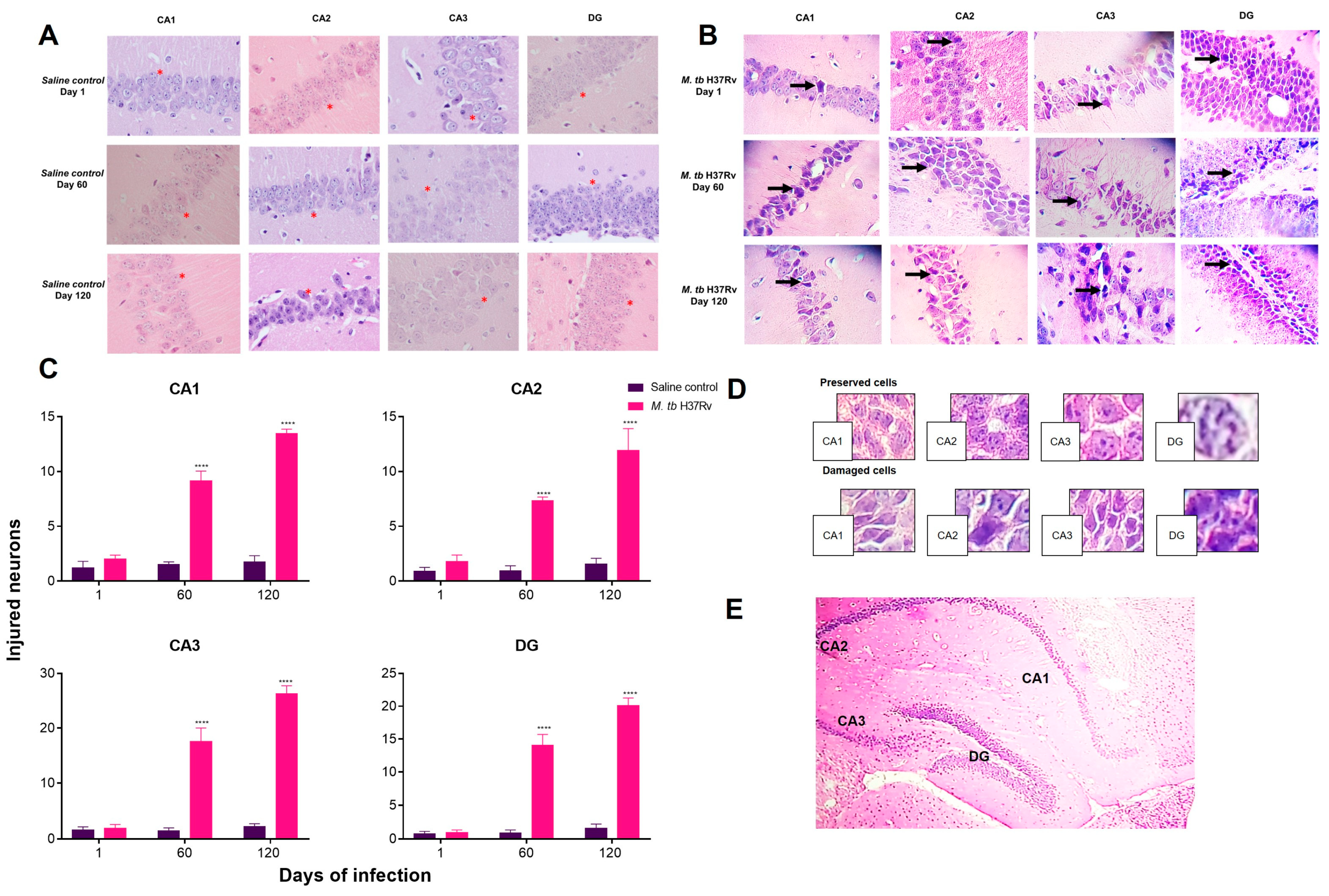 Ijms 21 09483 g008 Ijms 21 09483 g008