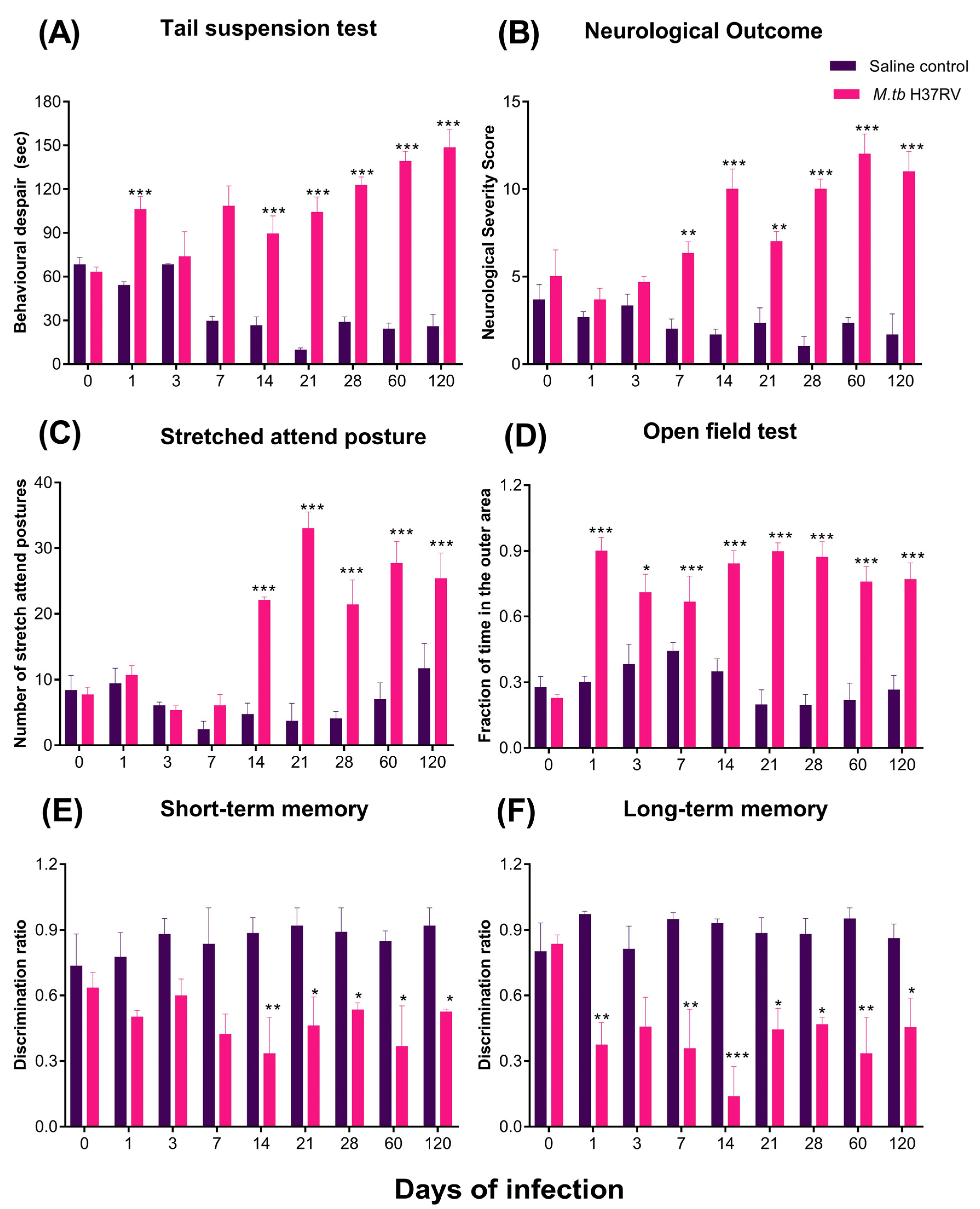 Ijms 21 09483 g014 Ijms 21 09483 g014