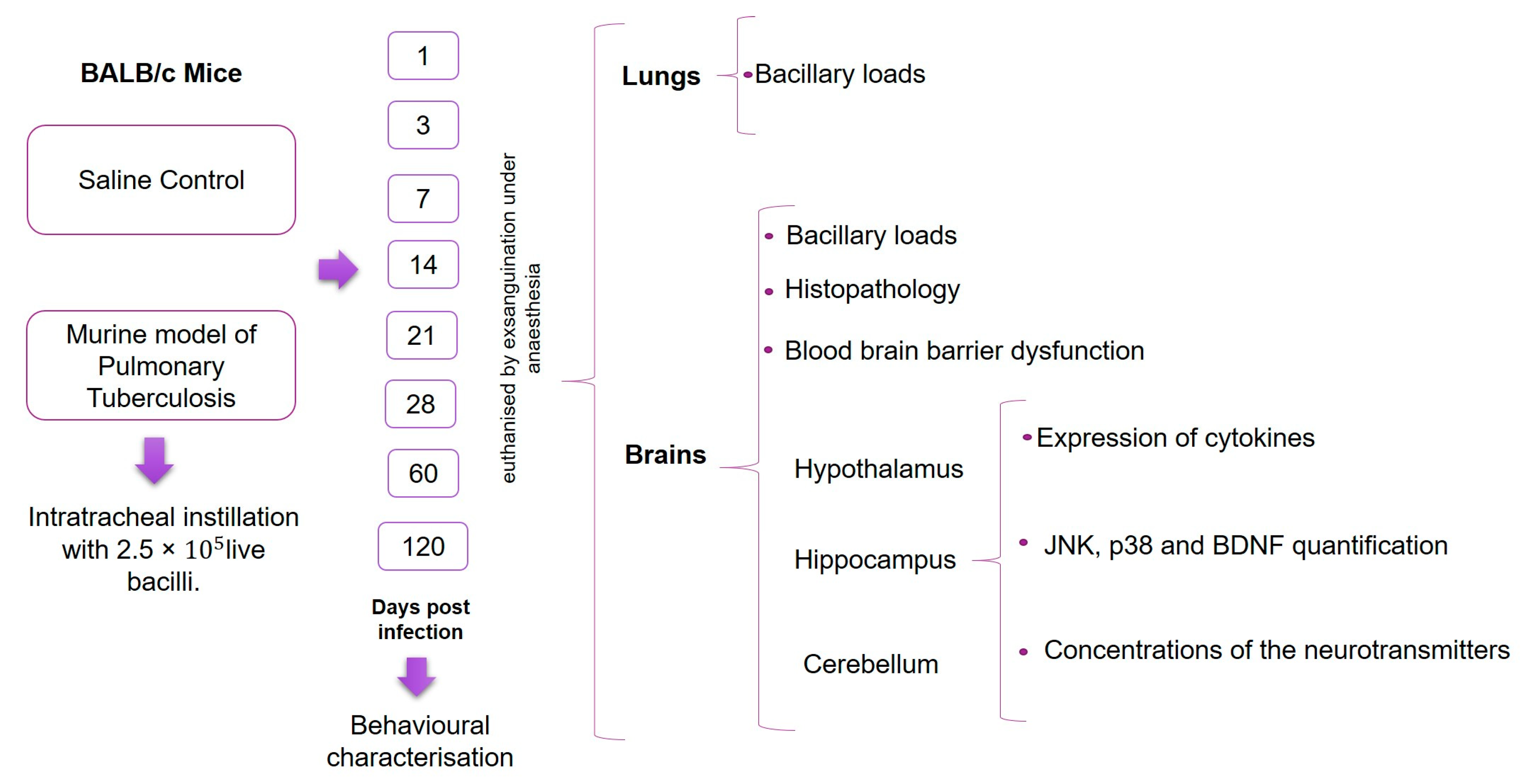 Ijms 21 09483 g015 Ijms 21 09483 g015