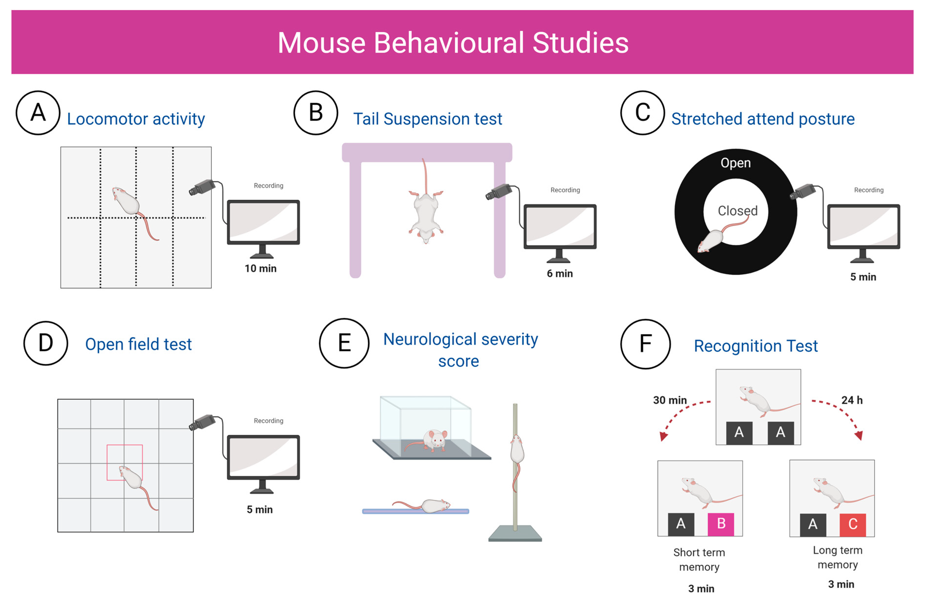 Ijms 21 09483 g016 Ijms 21 09483 g016