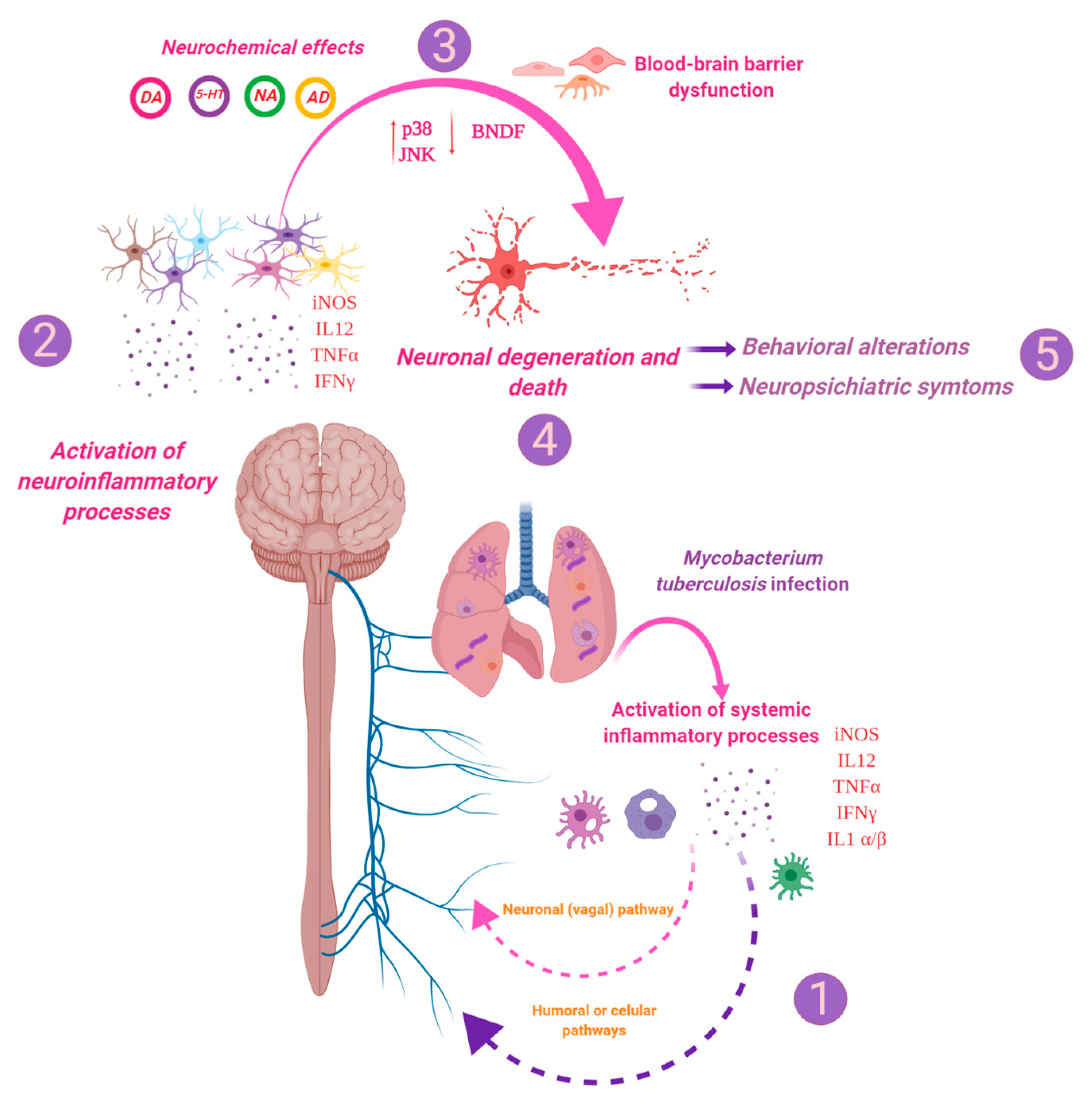 Ijms 21 09483 g017 Ijms 21 09483 g017