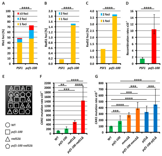 Recombination and Pol ζ Rescue Defective DNA Replication Recombination and Pol ζ Rescue Defective DNA Replication