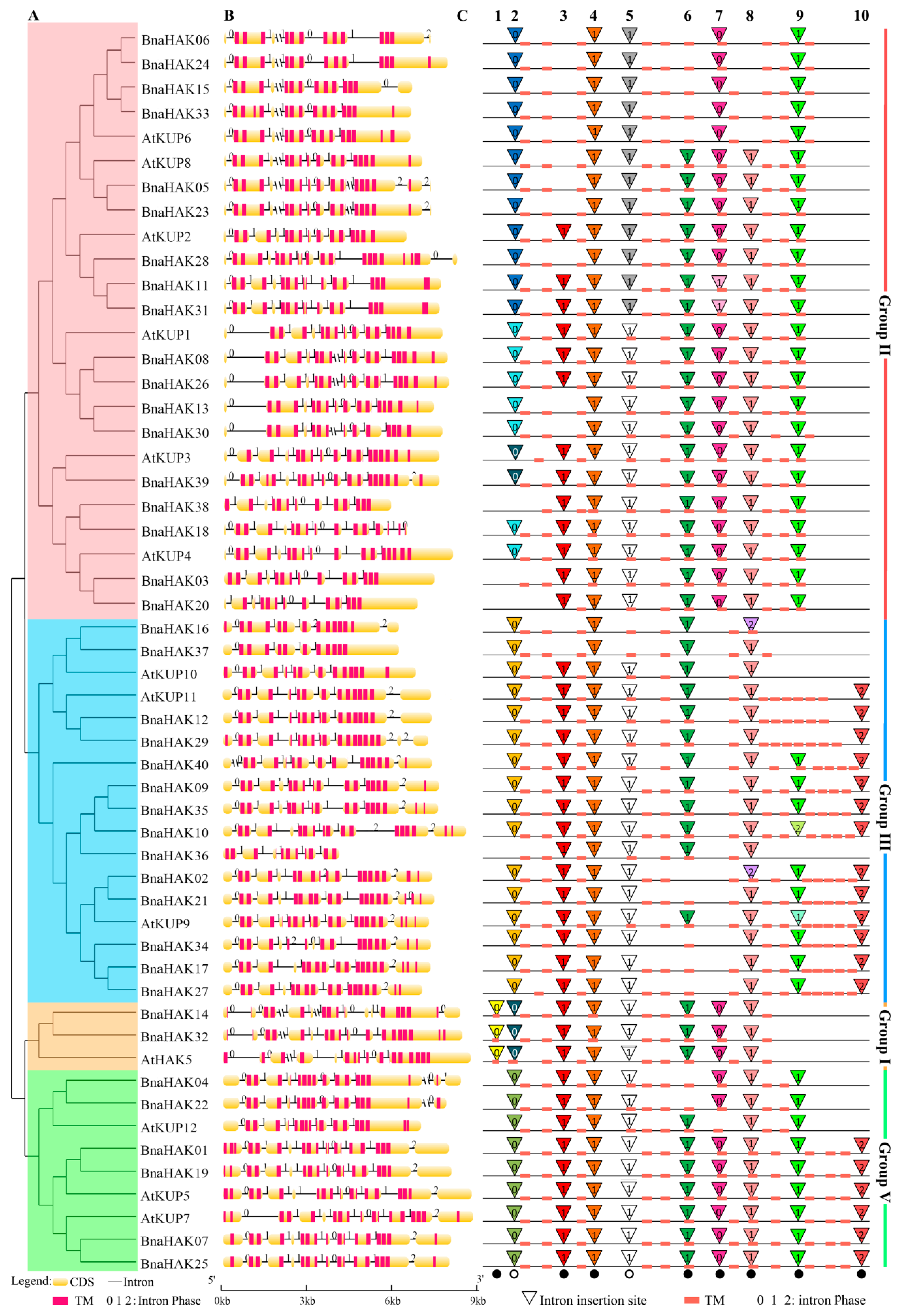 Ijms 21 09487 g002 Ijms 21 09487 g002