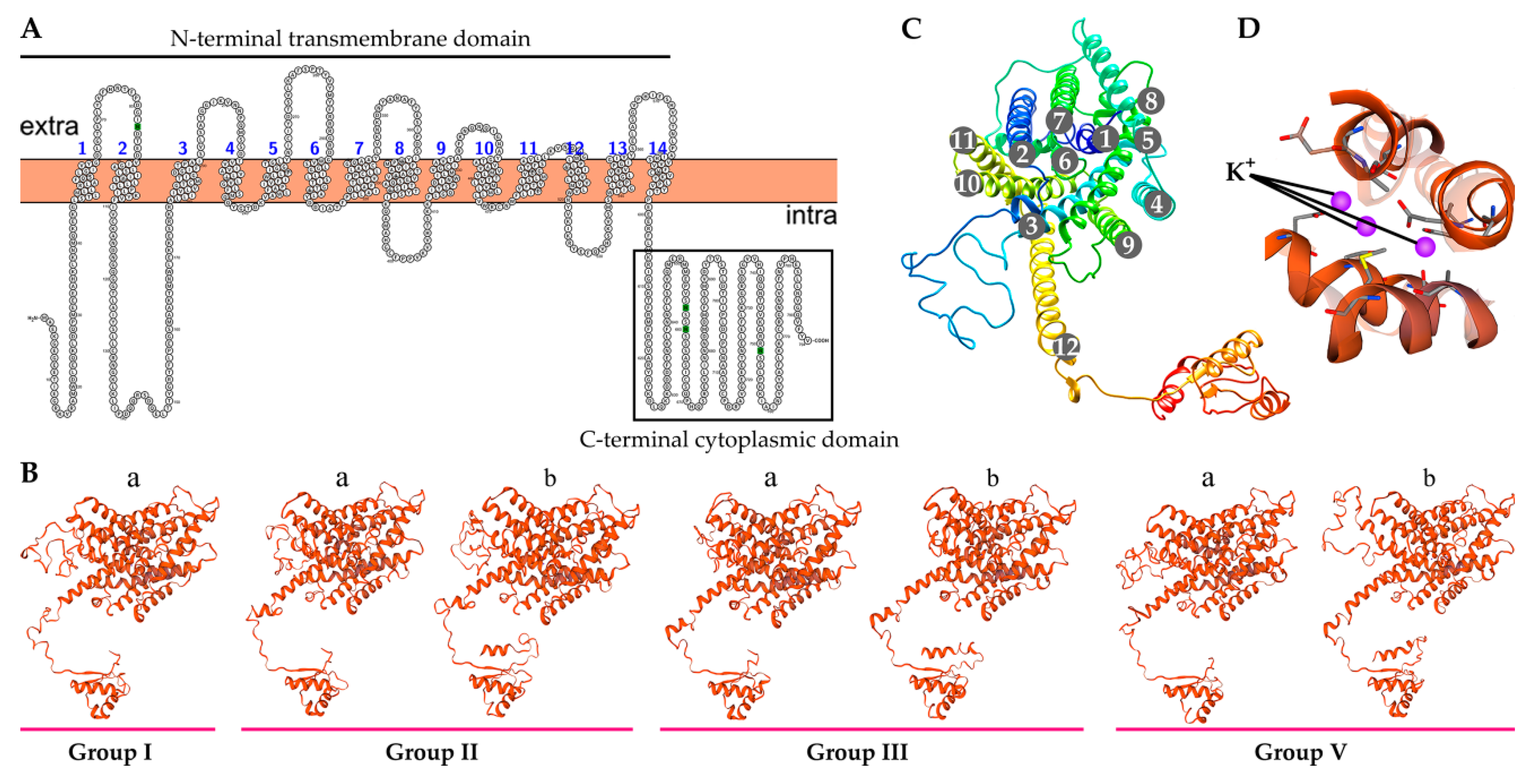 Ijms 21 09487 g005 Ijms 21 09487 g005