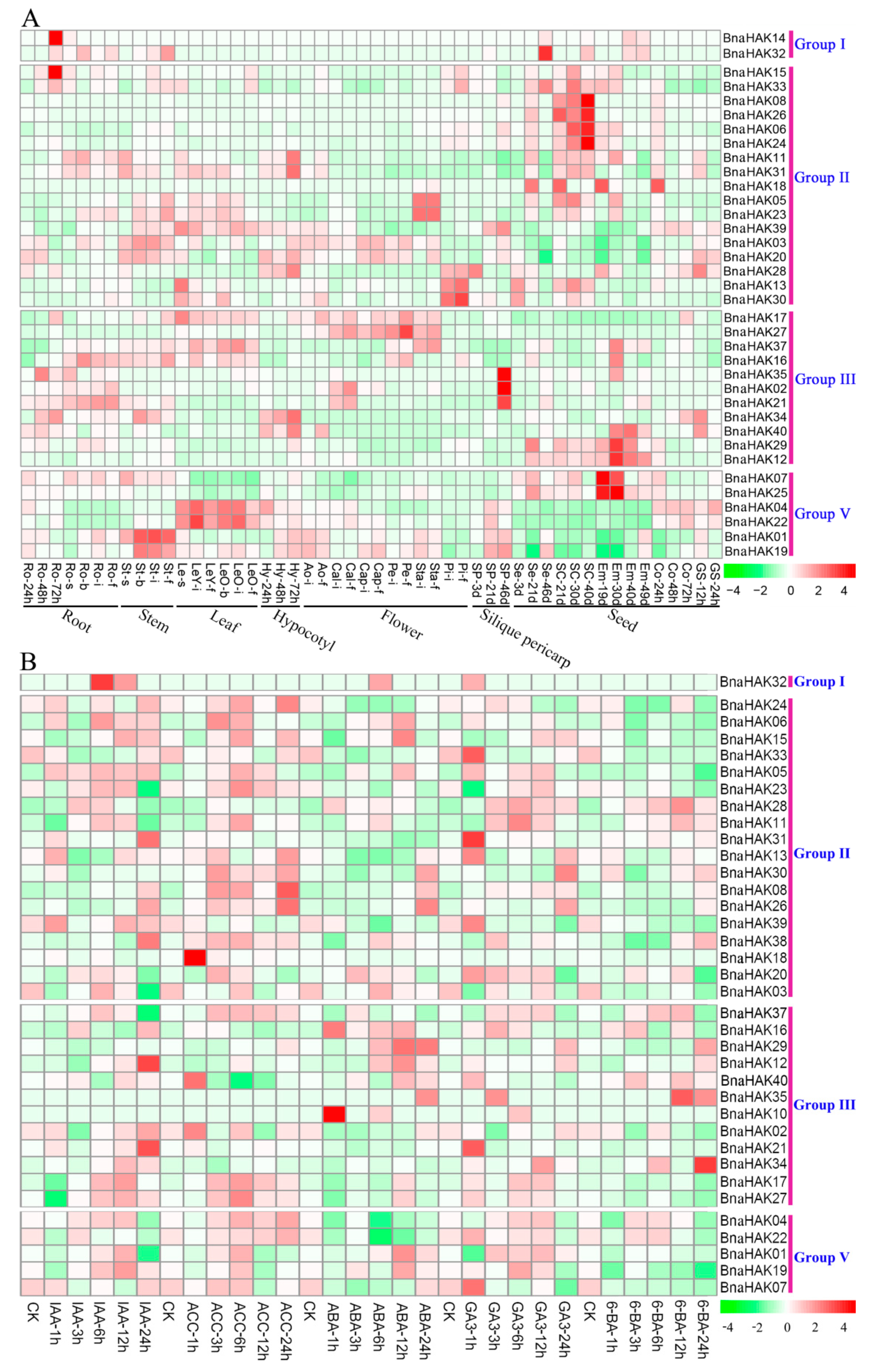 Ijms 21 09487 g006 Ijms 21 09487 g006