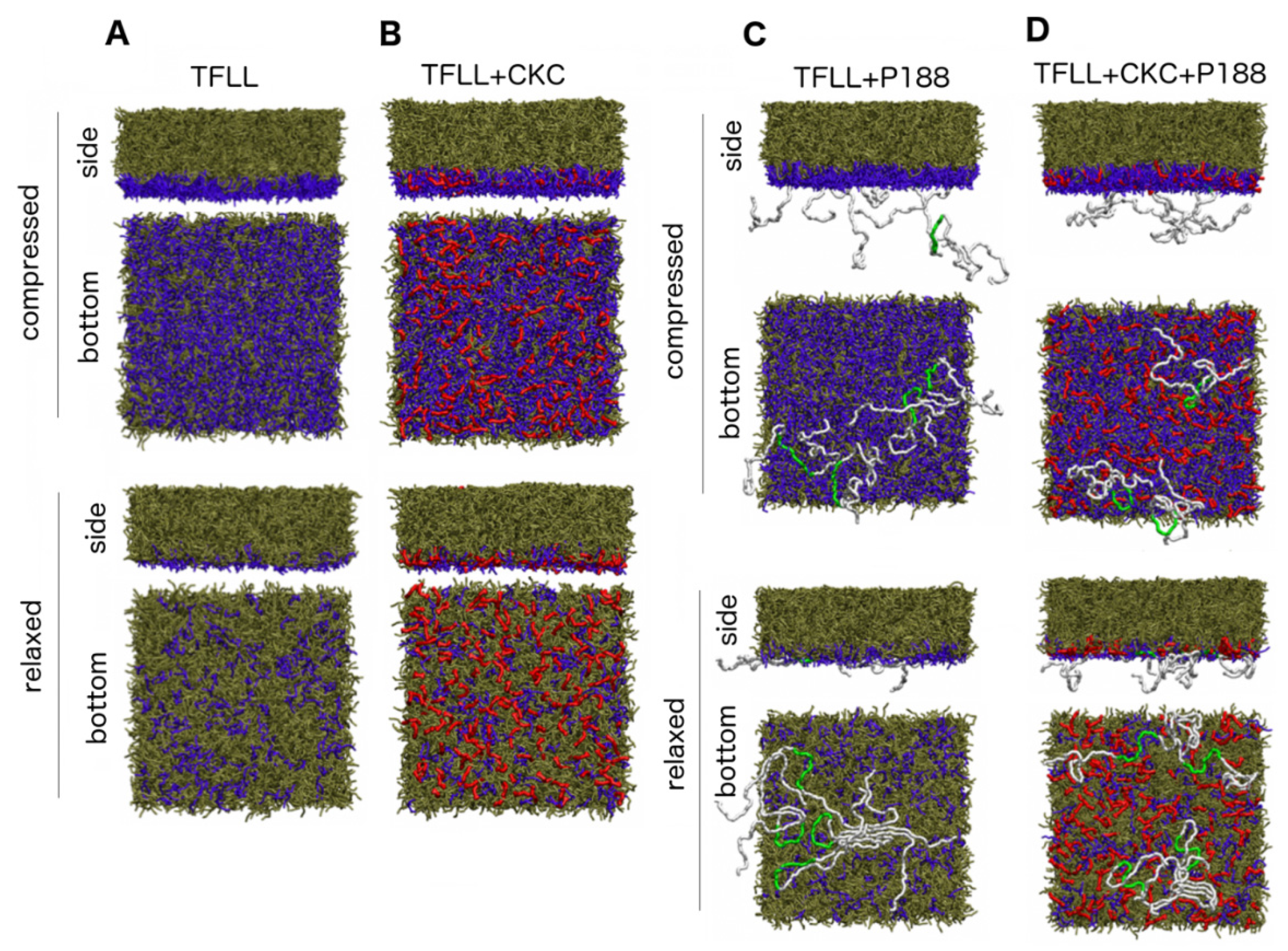 Ijms Free Full Text Improving Stability Of Tear Film Lipid Layer Via Concerted Action Of Two Drug Molecules A Biophysical View Html