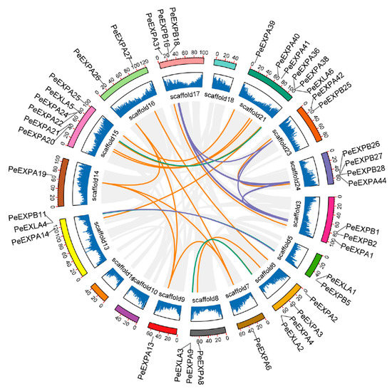 Genome-Wide Identification of the Expansin Gene Family and Its ...