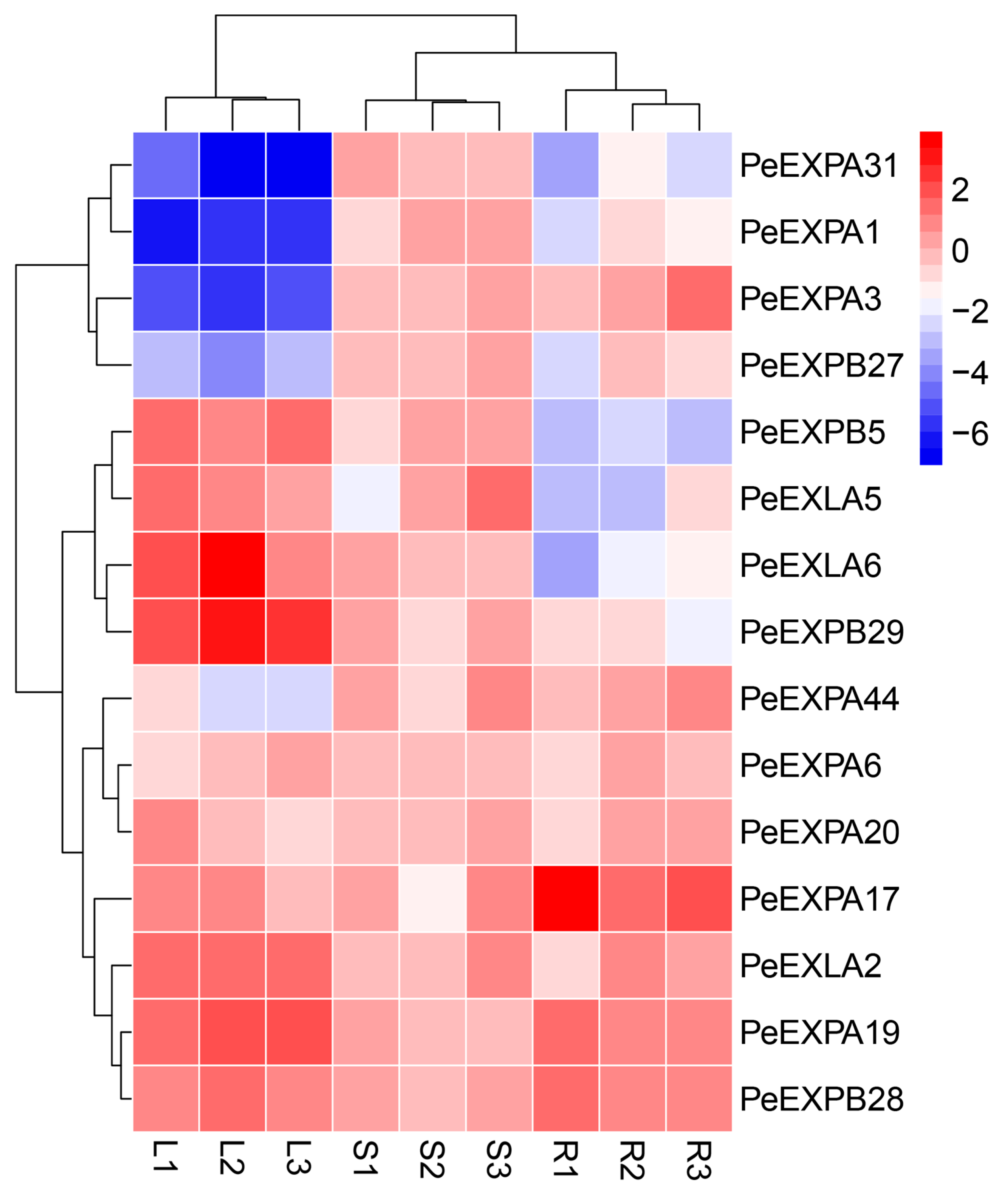 Genome-Wide Identification of the Expansin Gene Family and Its ...