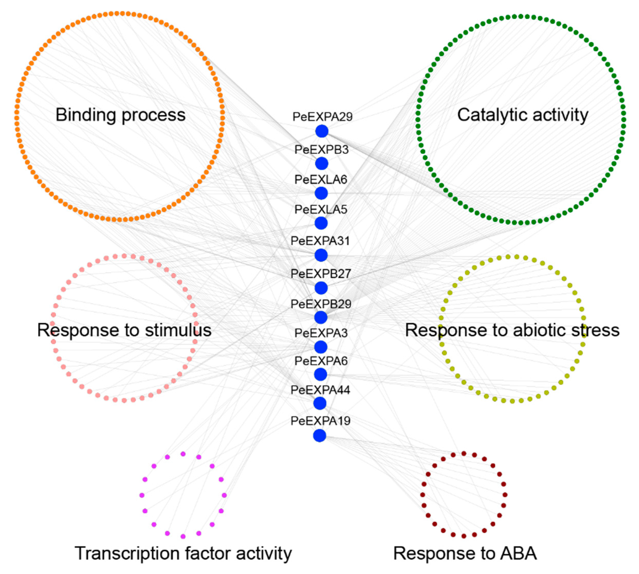 Genome-Wide Identification of the Expansin Gene Family and Its ...