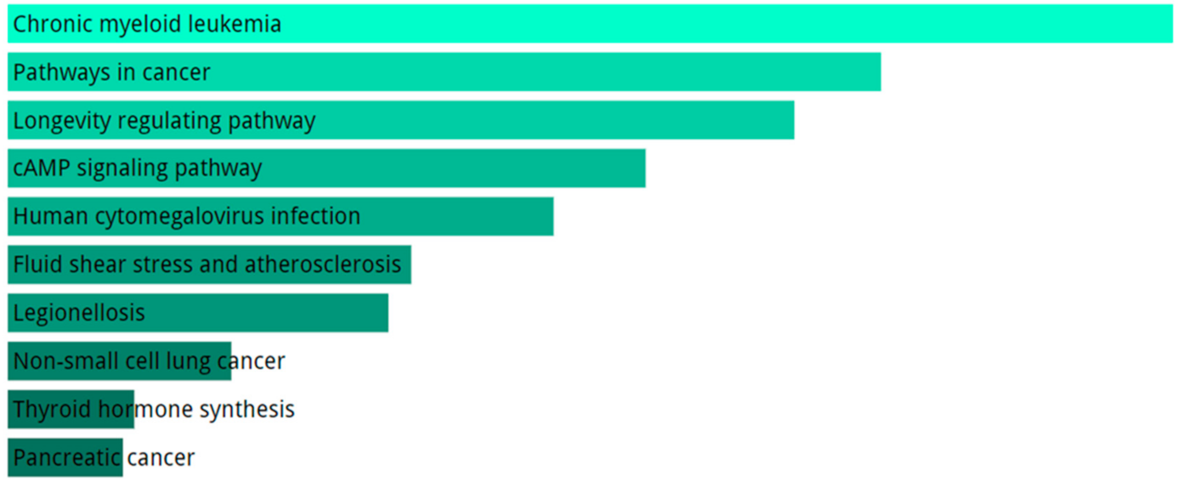 Ijms 21 09500 g005 Ijms 21 09500 g005
